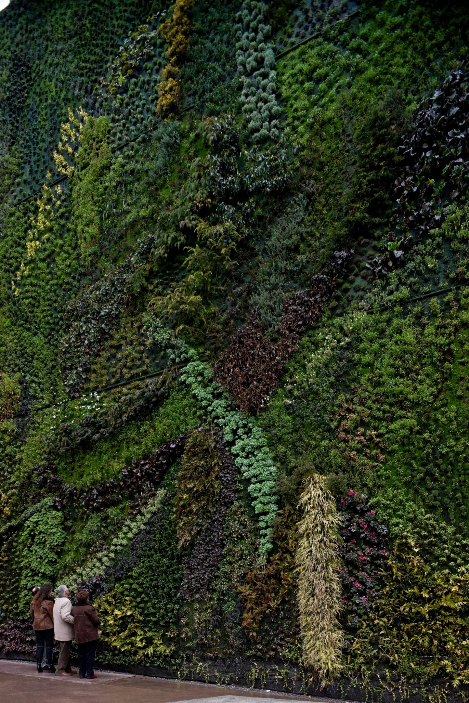 CaixaForum Madrid by Herzog & de Meuron, madrid guide, museum, architecture