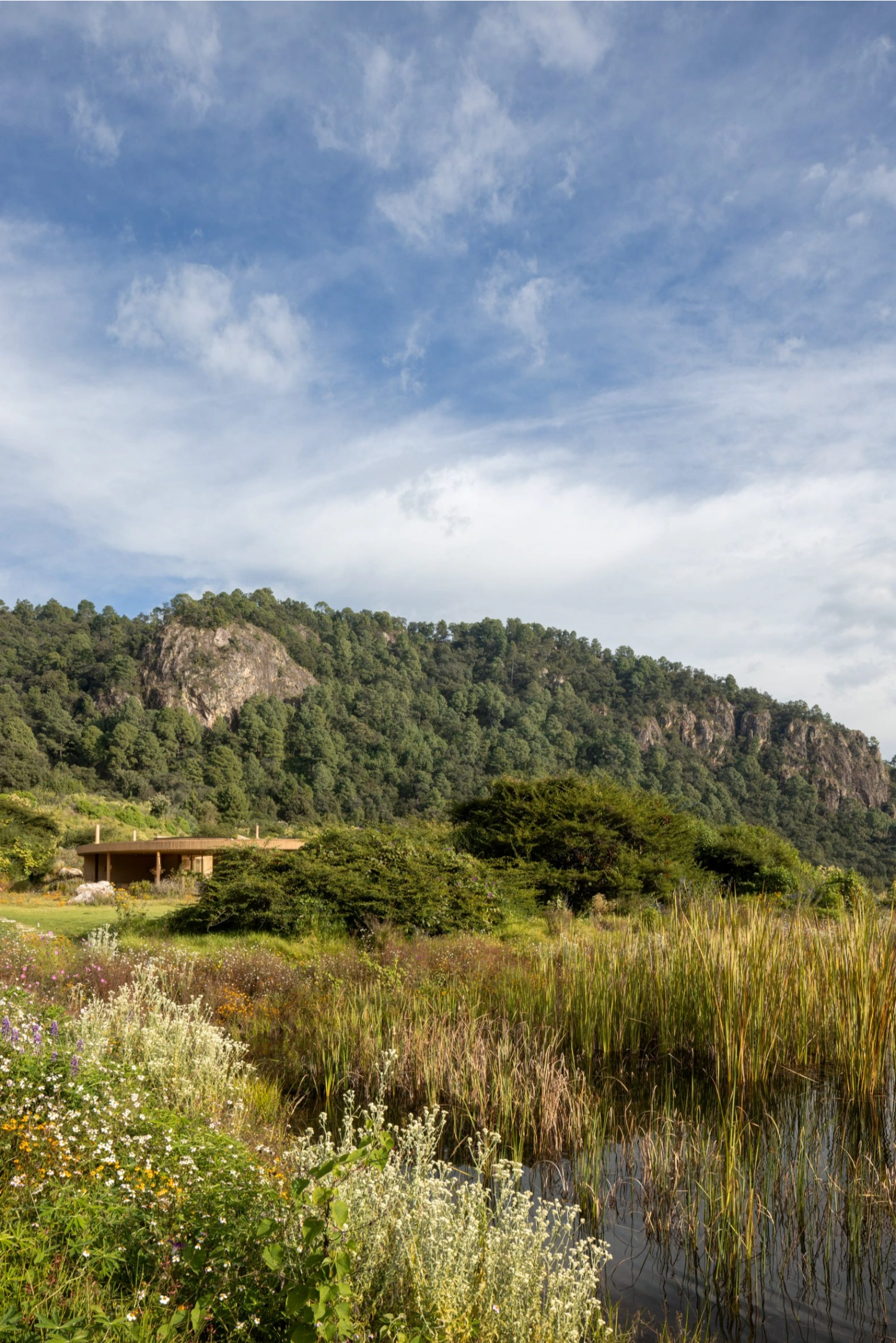 House 720 Degrees by Fernanda Canales Architecture, casa mexicana, concrete architecture