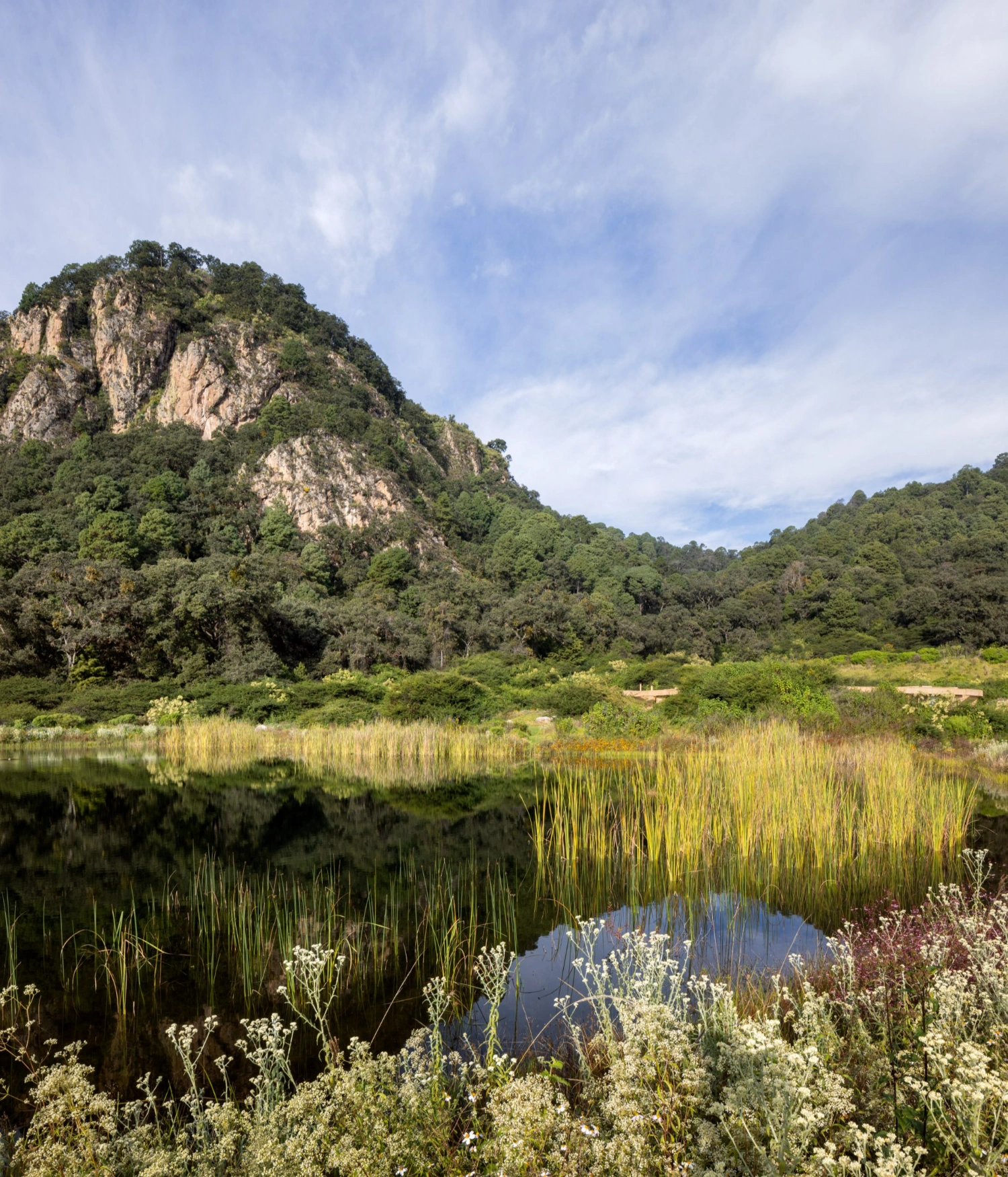 House 720 Degrees by Fernanda Canales Architecture, casa mexicana, concrete architecture