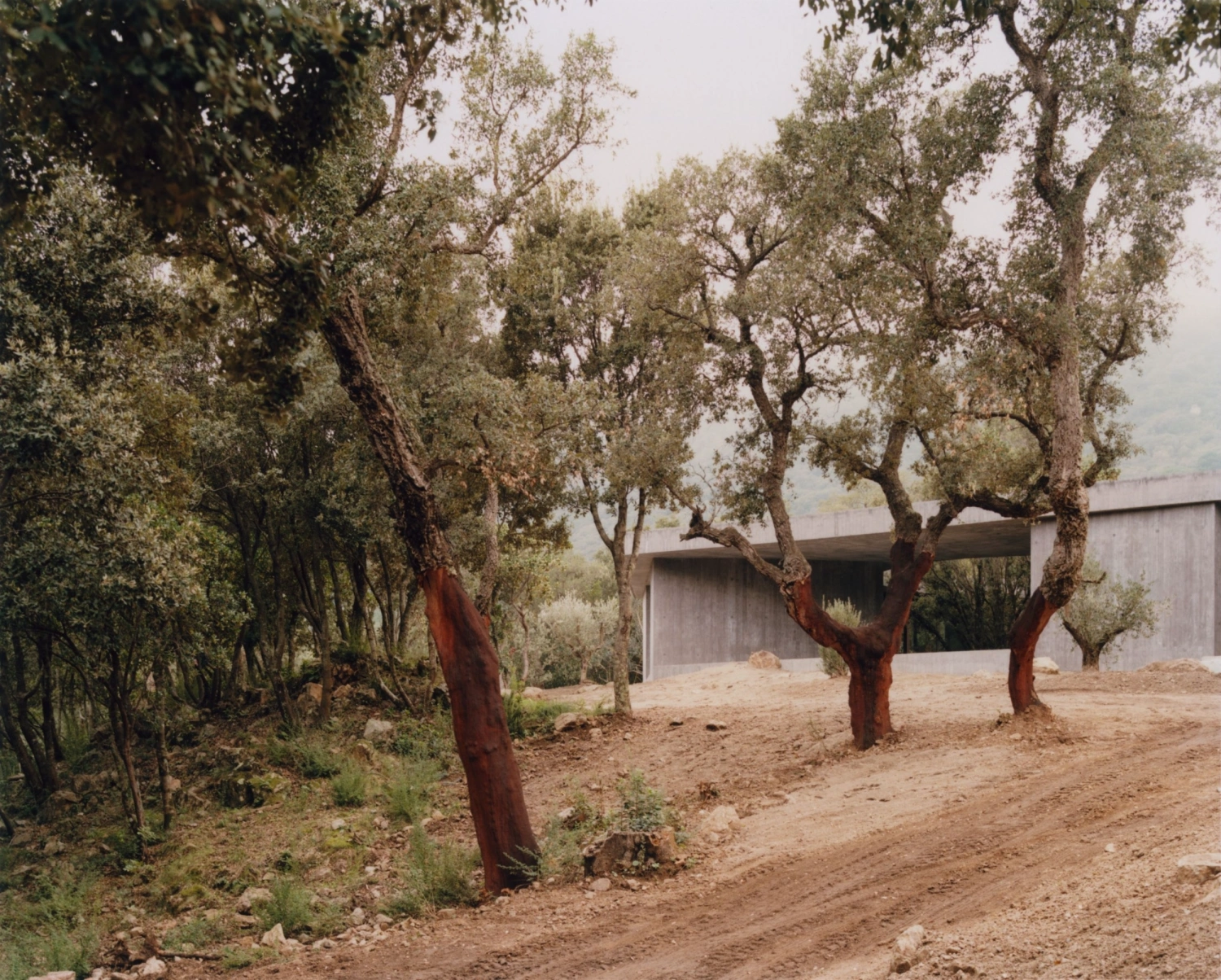 House D by Orma Architettura, concrete architecture, private house, france