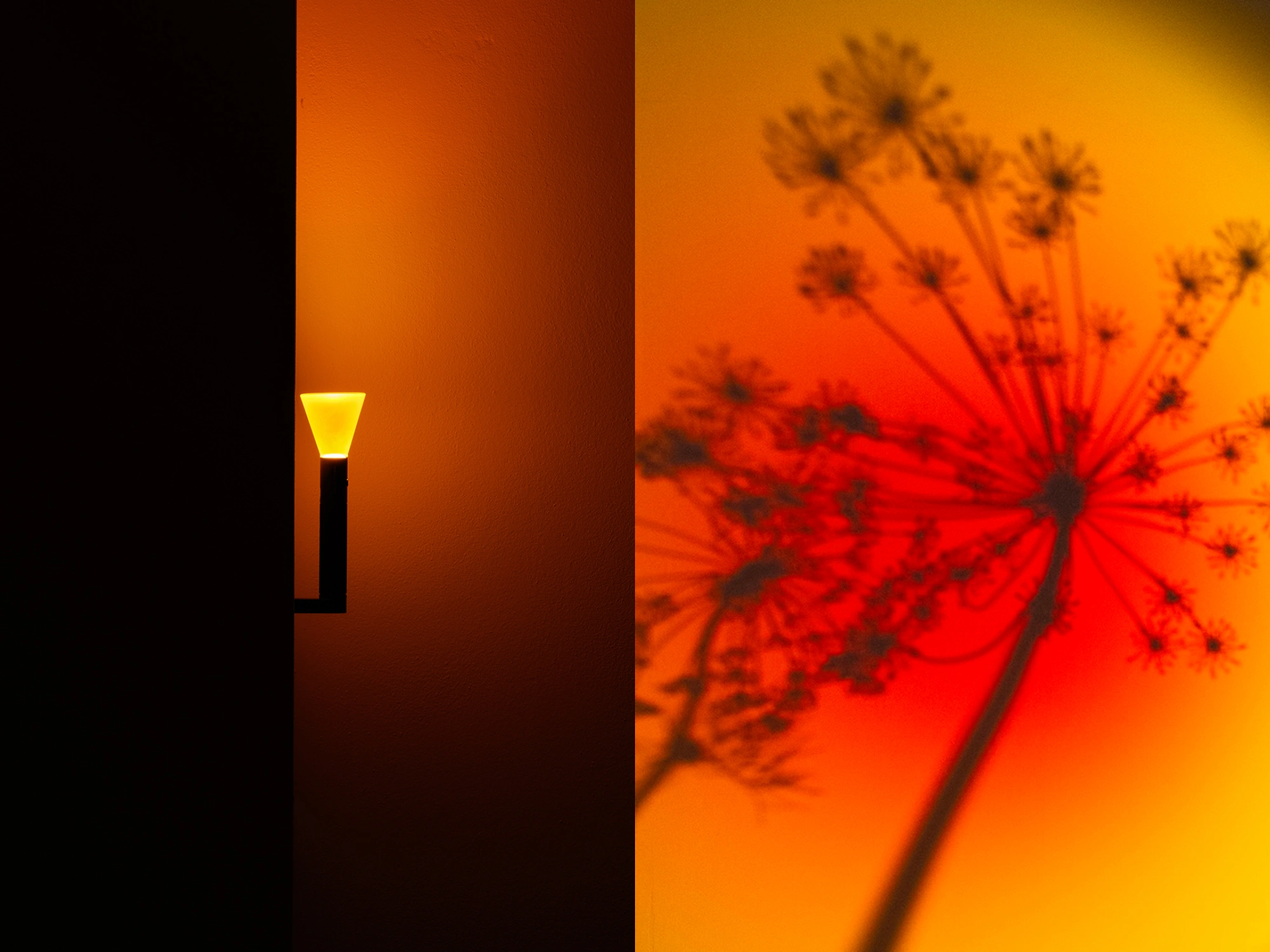 Halo Mag (Flame + Bloom) designed by Mandalaki