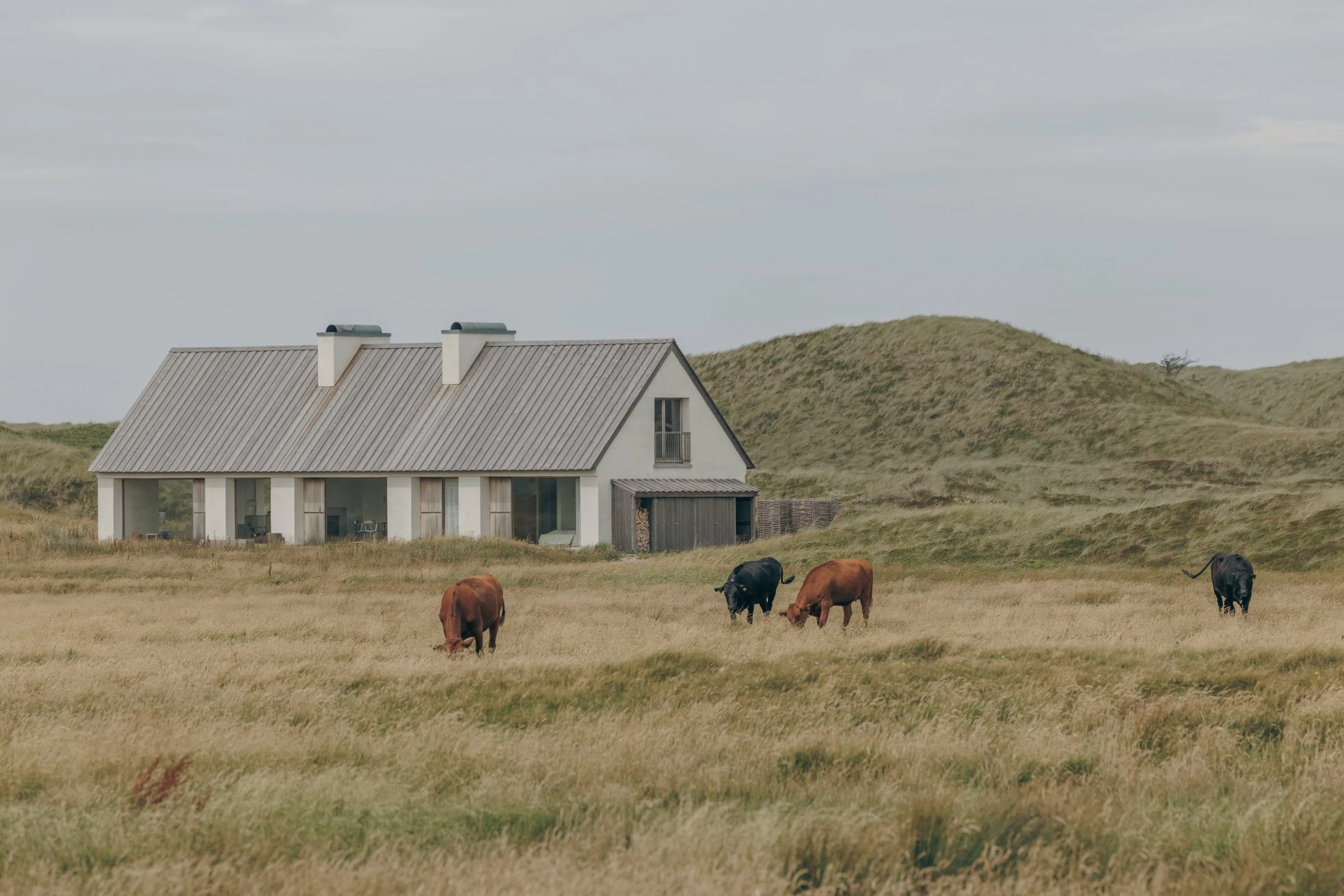 Vipp Cold Hawaii captured by Richard Gastond, Hahn Lavsen, cation house, architecture, interior design, Denmark Guide