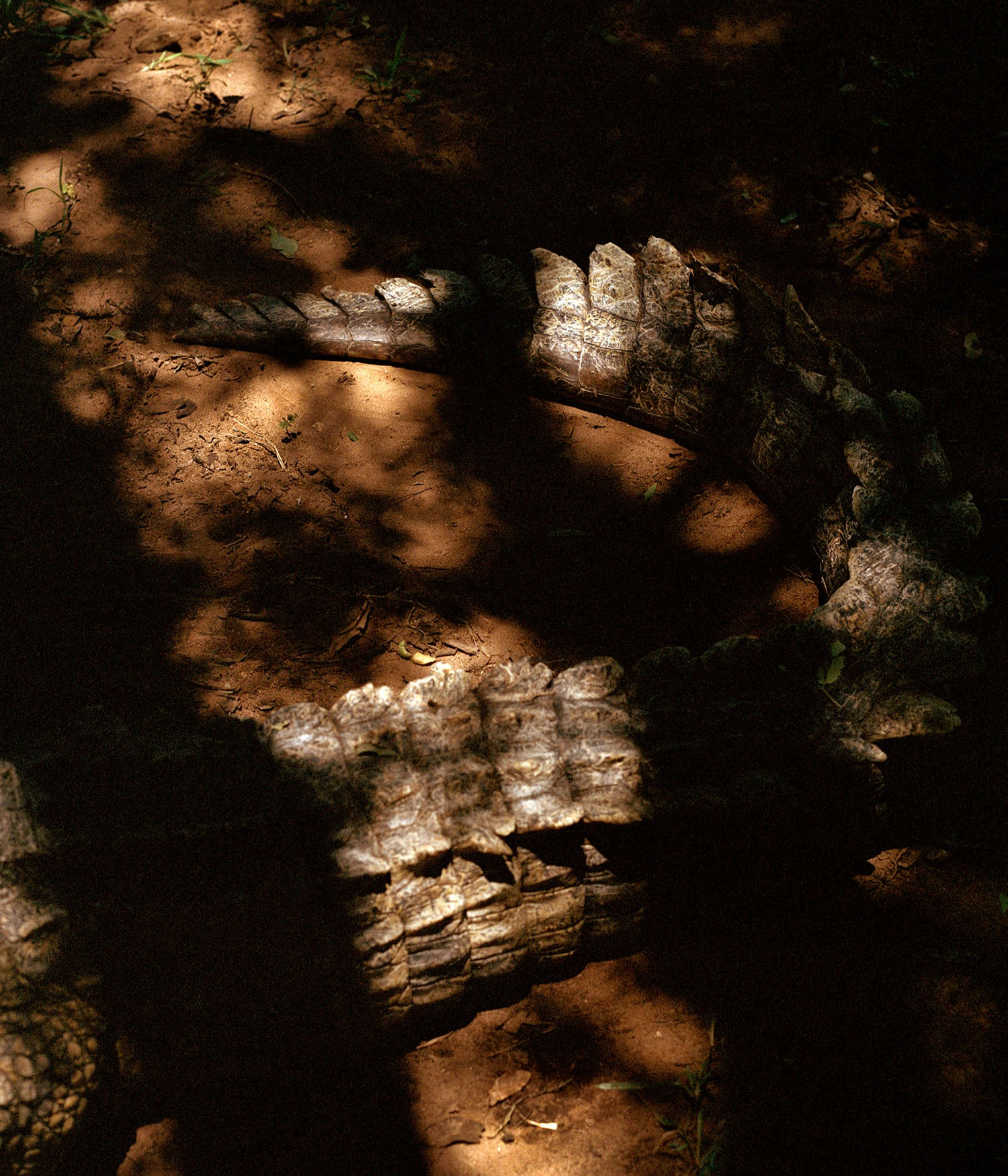 They Still Owe Him a Boat by Jono Terry, photography, documentary, zimbabwe