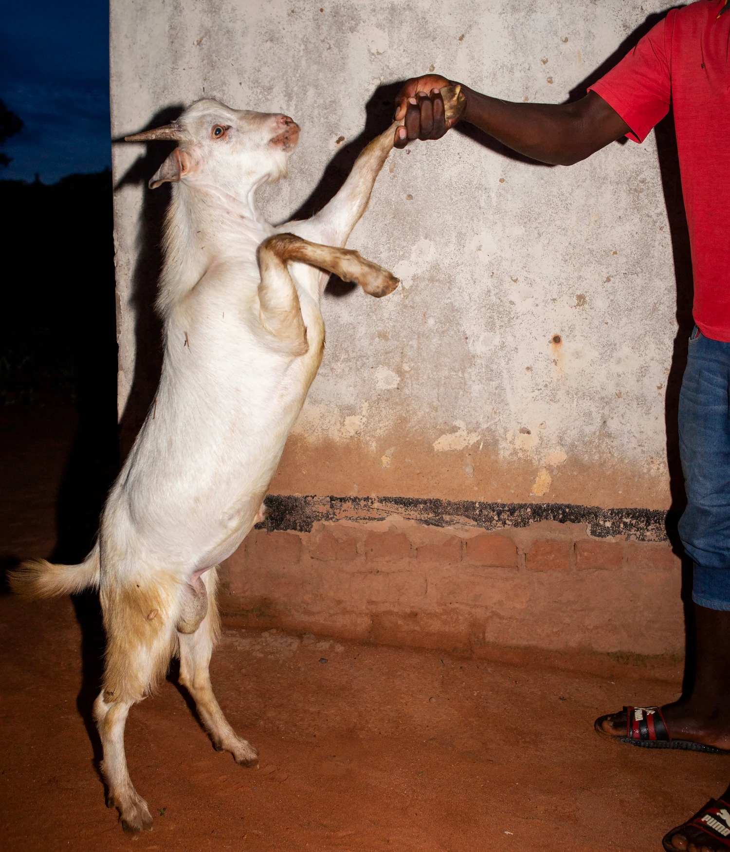 They Still Owe Him a Boat by Jono Terry, photography, documentary, zimbabwe