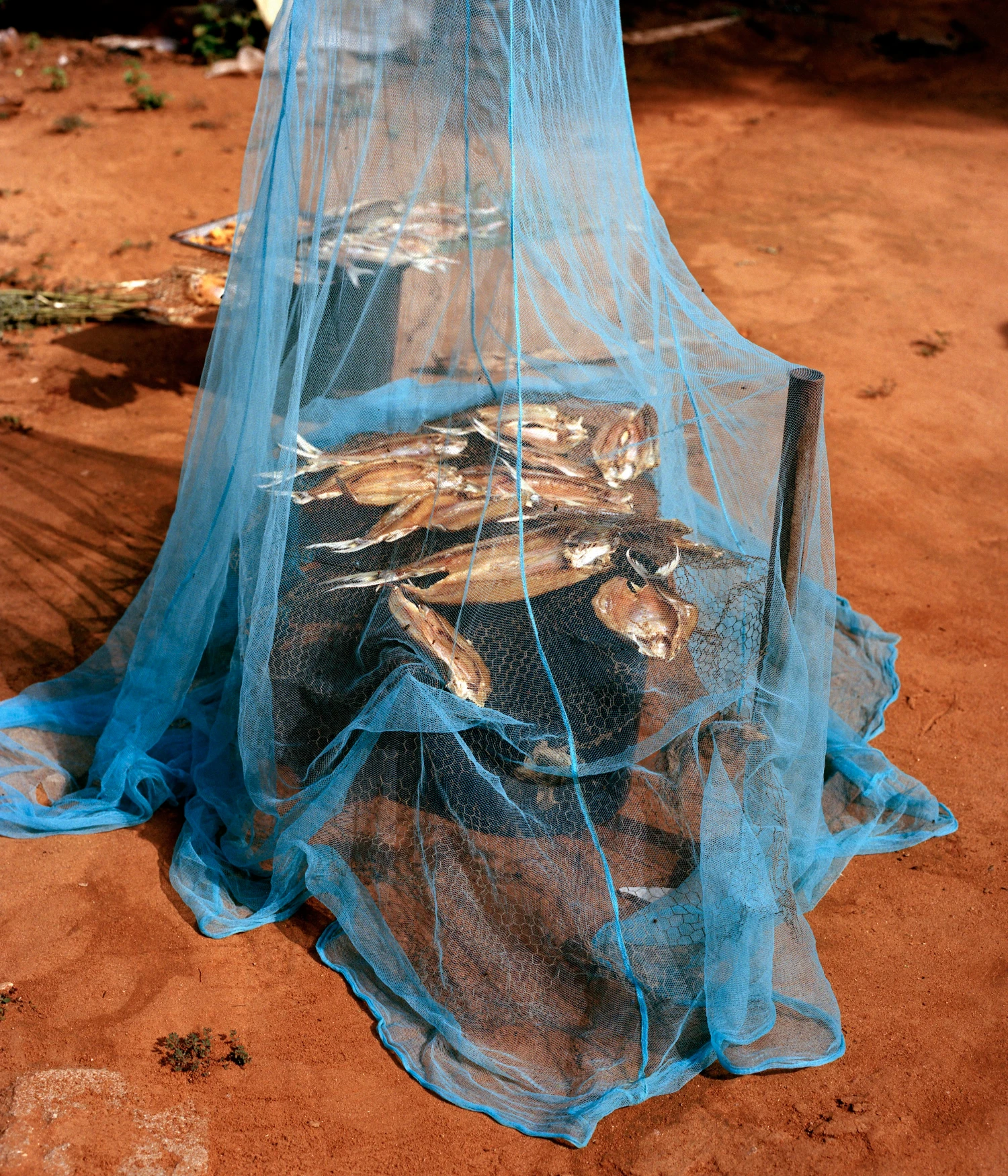 They Still Owe Him a Boat by Jono Terry, photography, documentary, zimbabwe