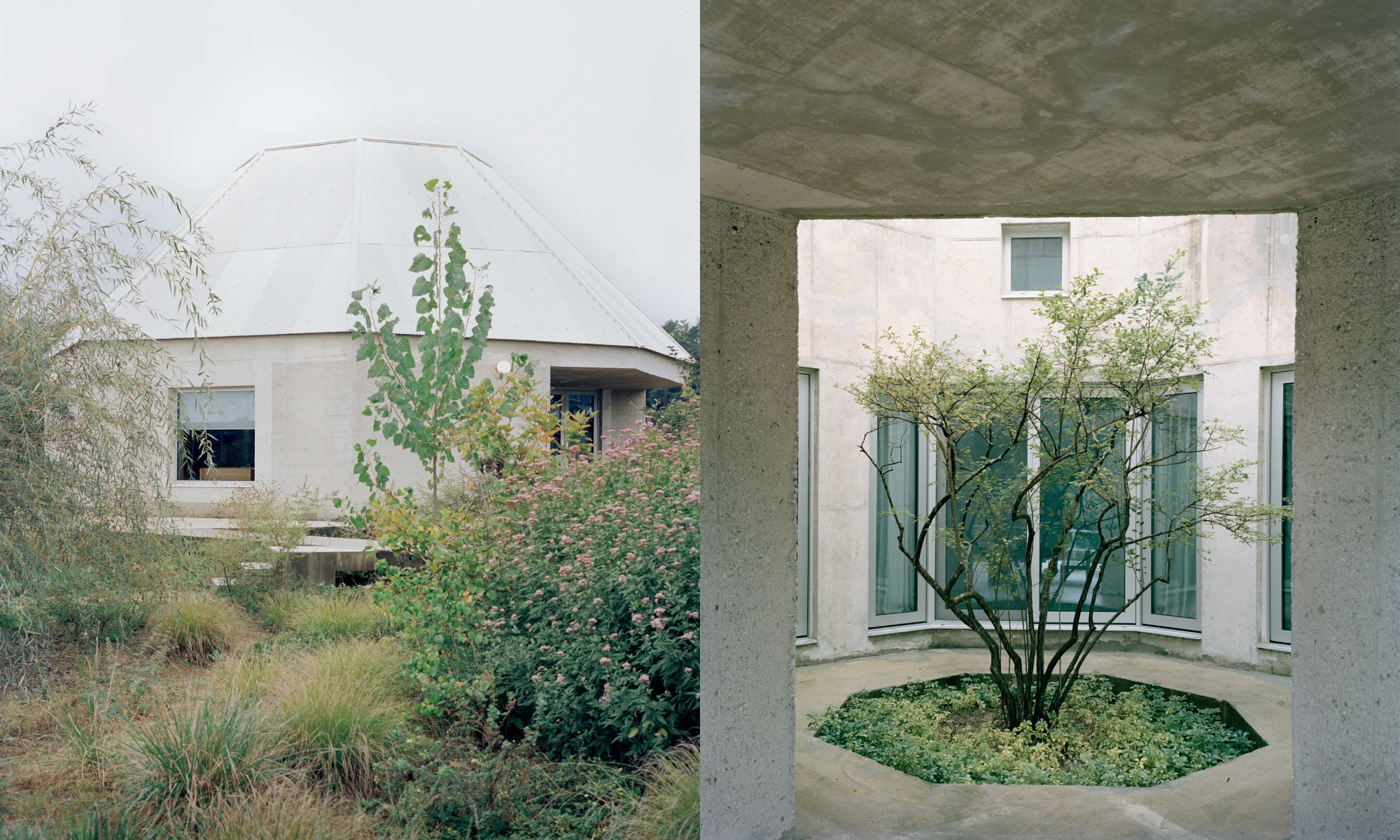 Hoji Gangneung Houses by AOA Architects