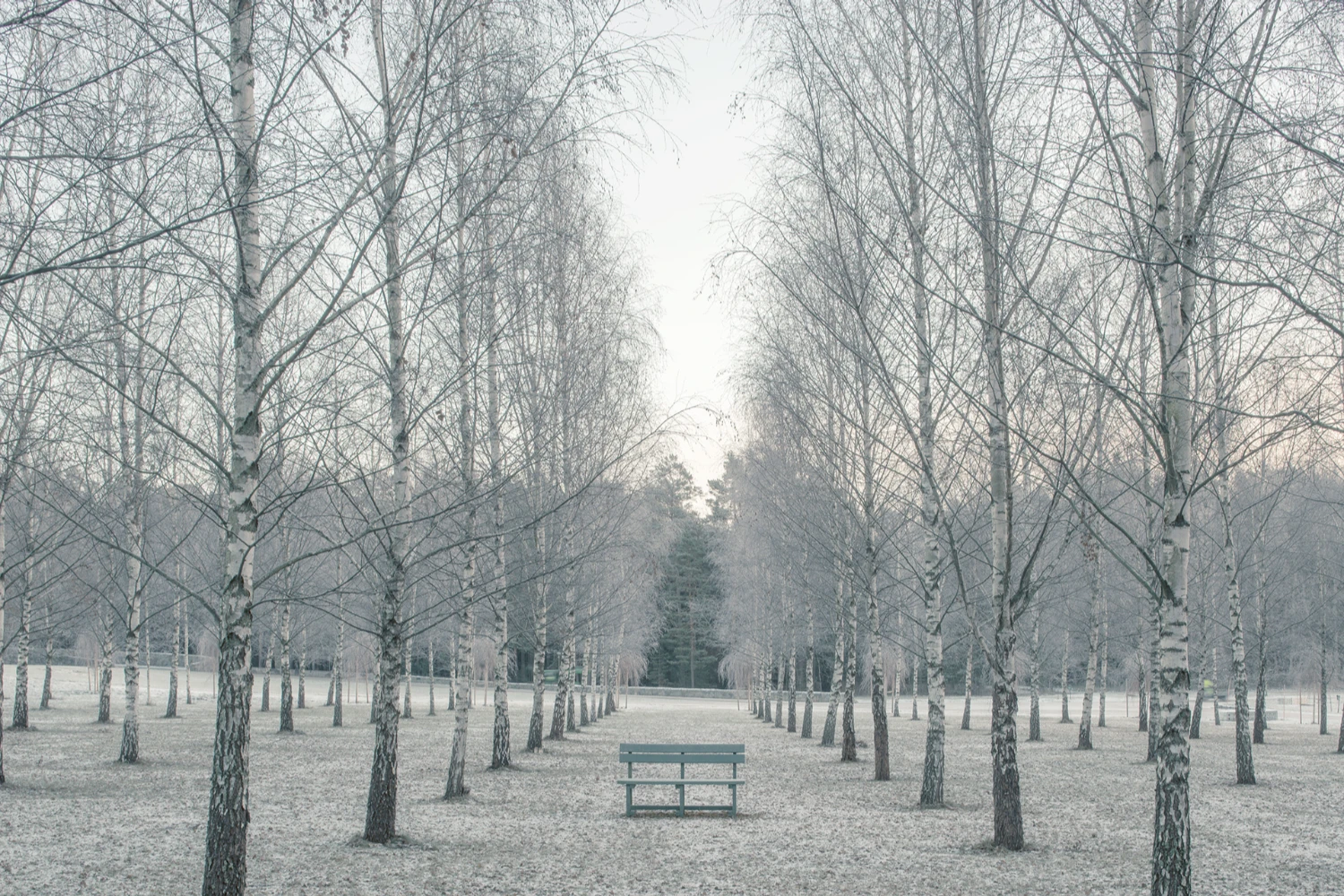 Woodland Cemetery Stockholm by Erik Gunnar Asplund & Sigurd Lewerentz captured by Andy Liffner, Sacral Architecture Guide