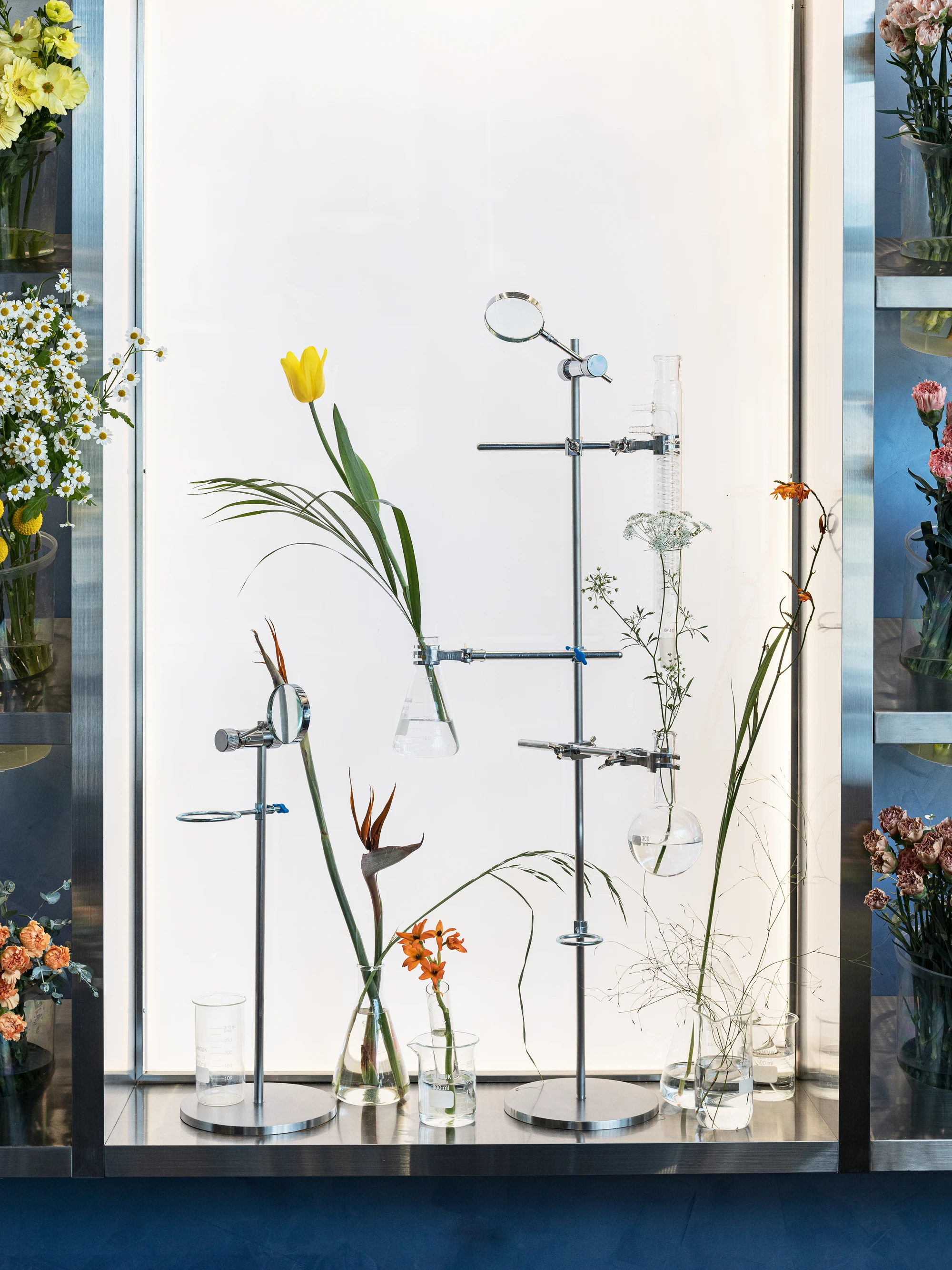 O'flower futuristic florist interior by plainoddity with stainless steel and blue walls, Seoul Guide, interior design