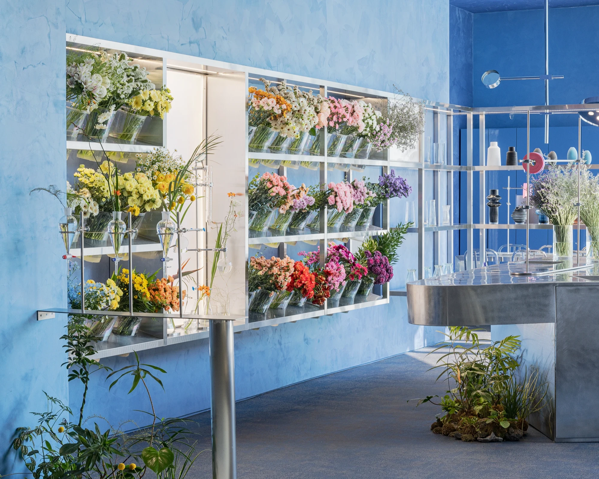 O'flower by plainoddity