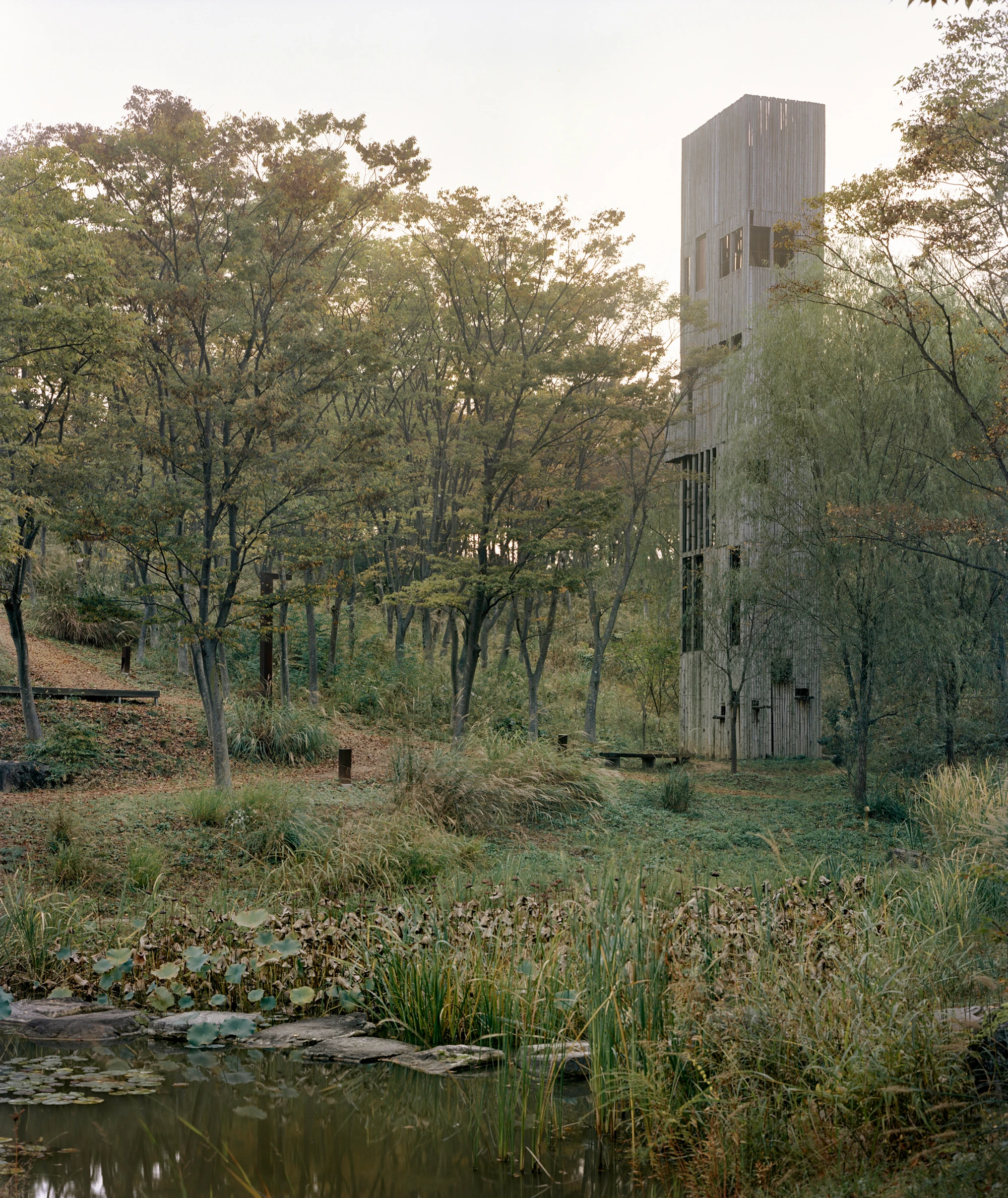 Sayuwon arboretum architecture by Álvaro Siza photographed by Danny Kai, South Korea Guide