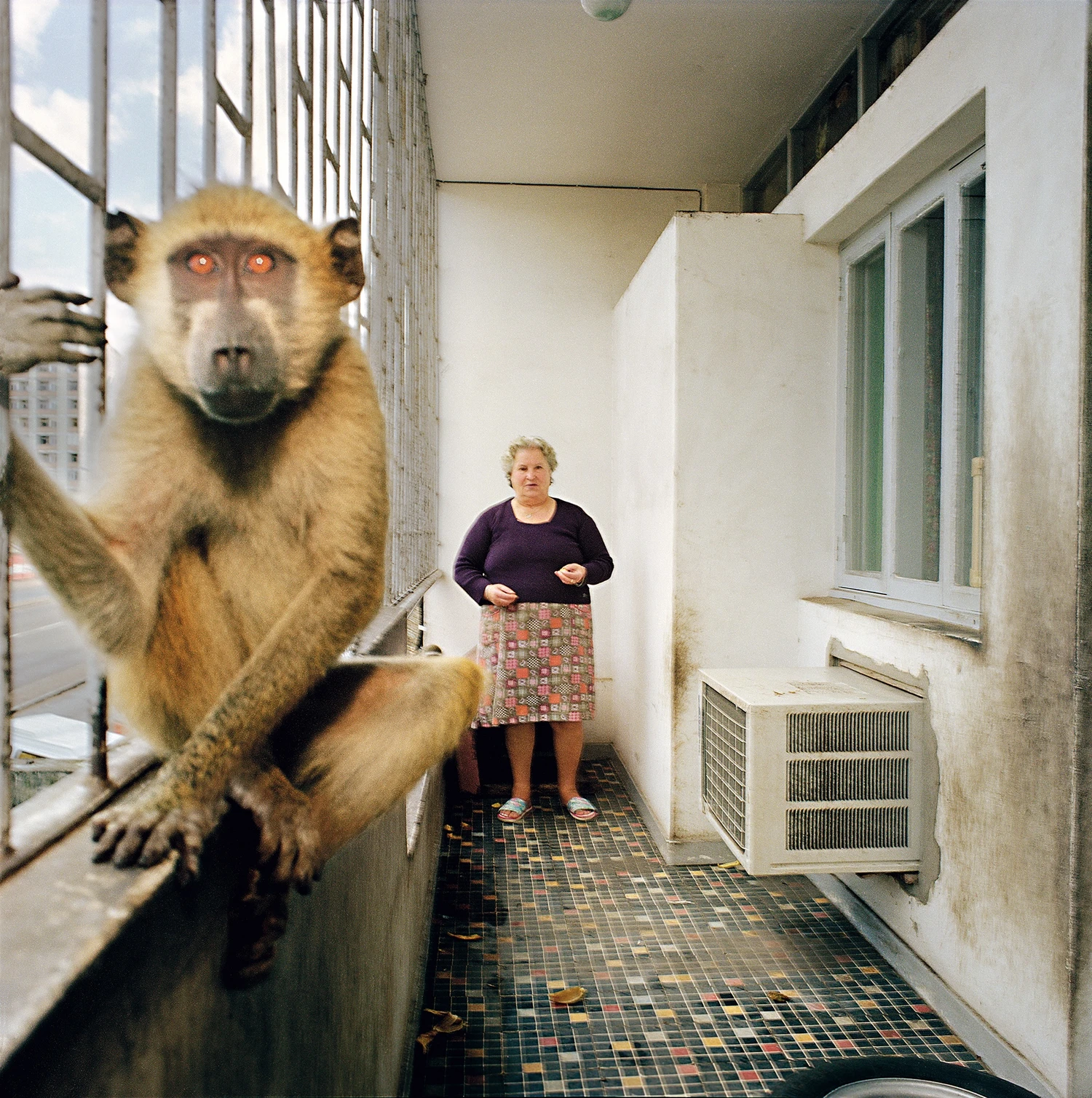 Maputo Diary by Ditte Haarløv Johnsen