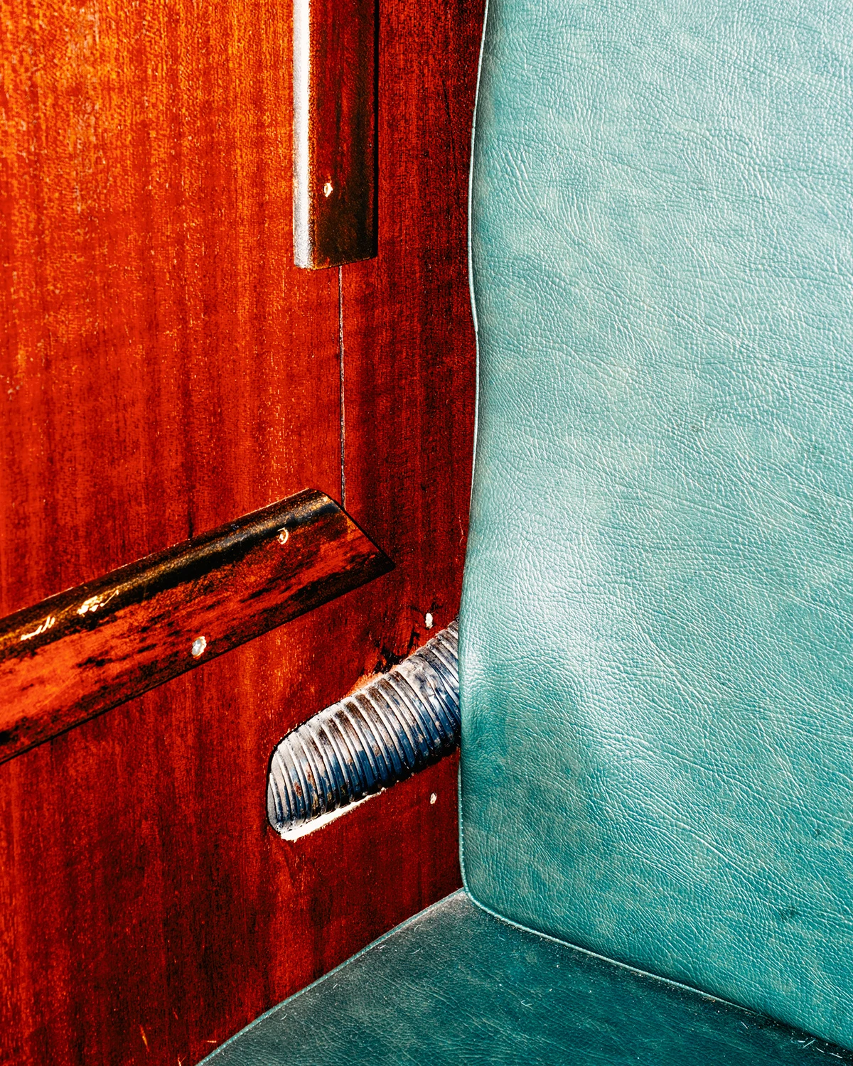 Lupine by Daniel Dorsa, photography, landscape, documentary, portrait