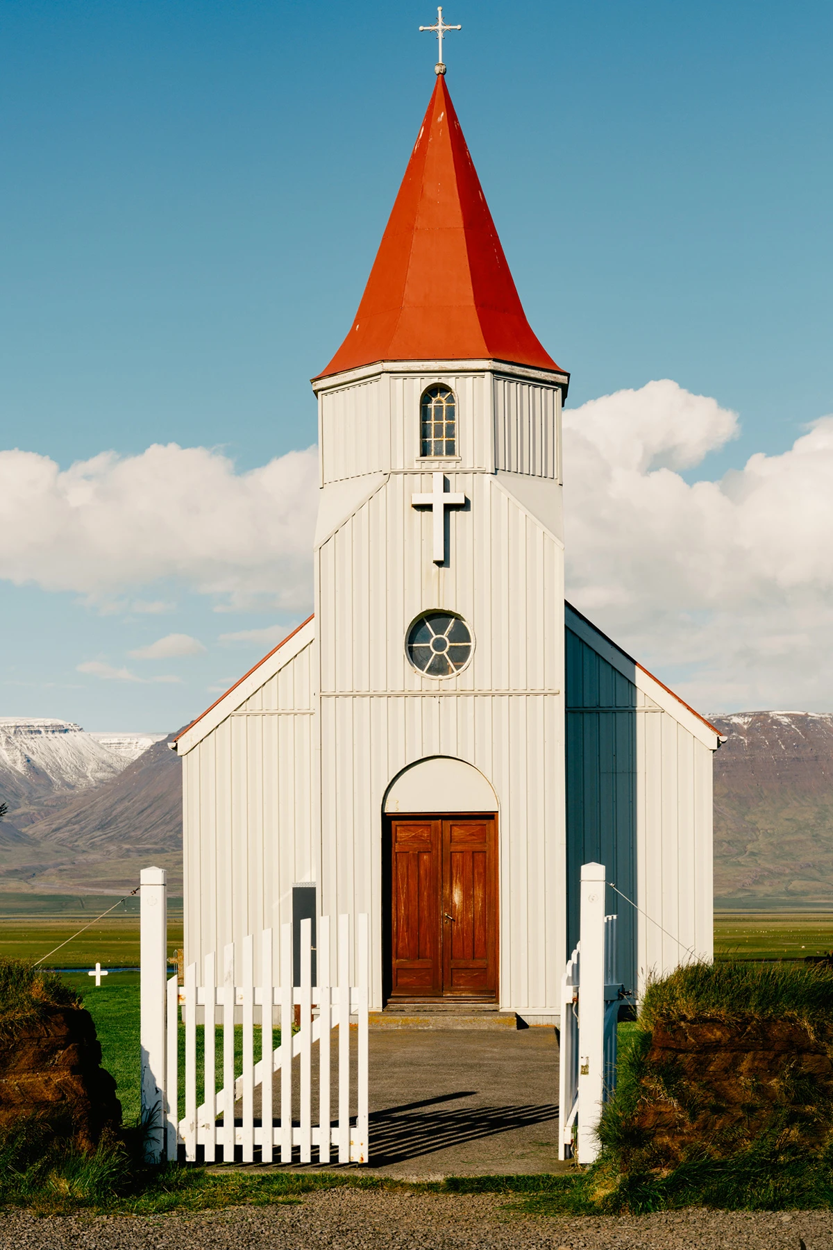 Lupine by Daniel Dorsa, photography, landscape, documentary, portrait