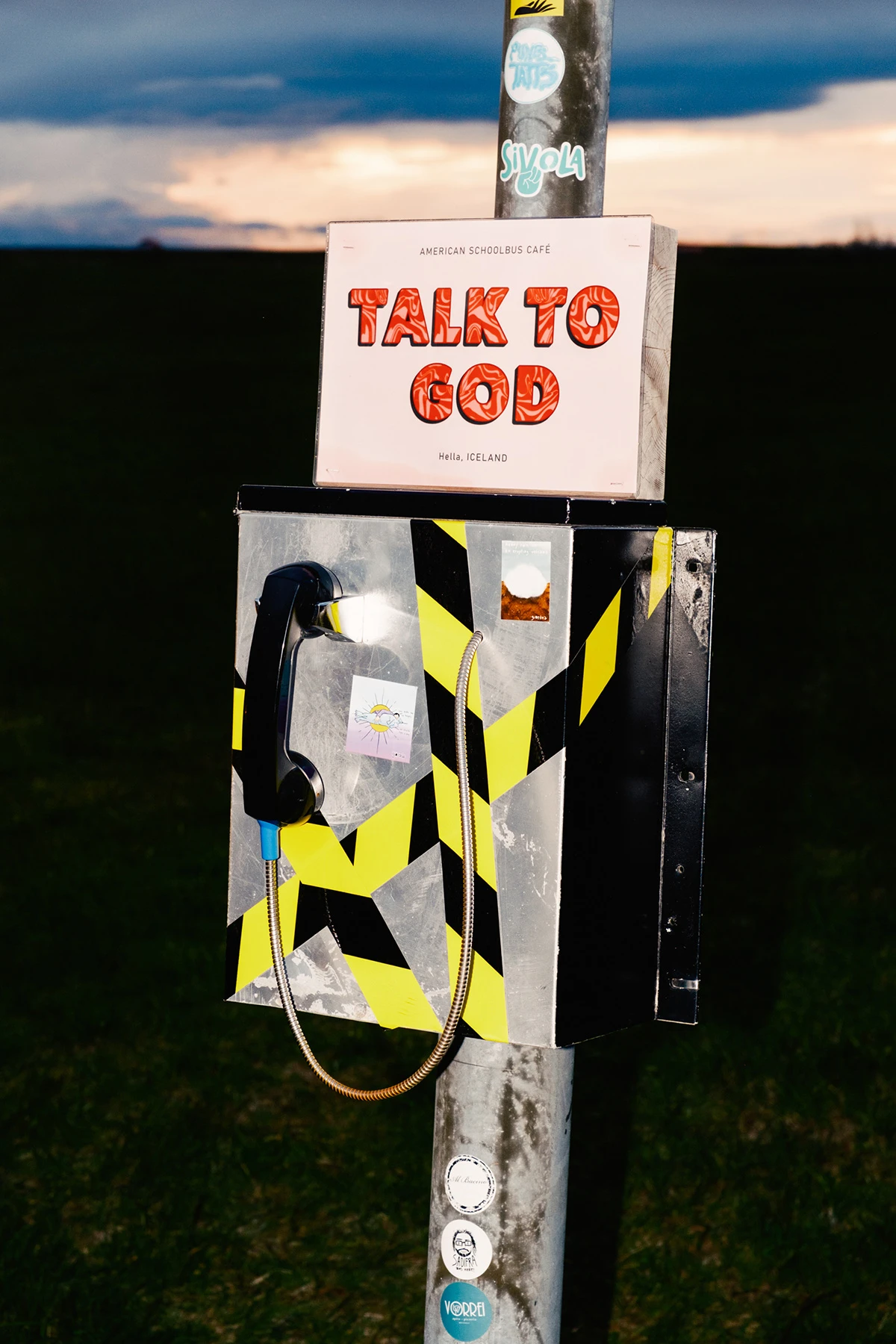 Lupine by Daniel Dorsa, photography, landscape, documentary, portrait