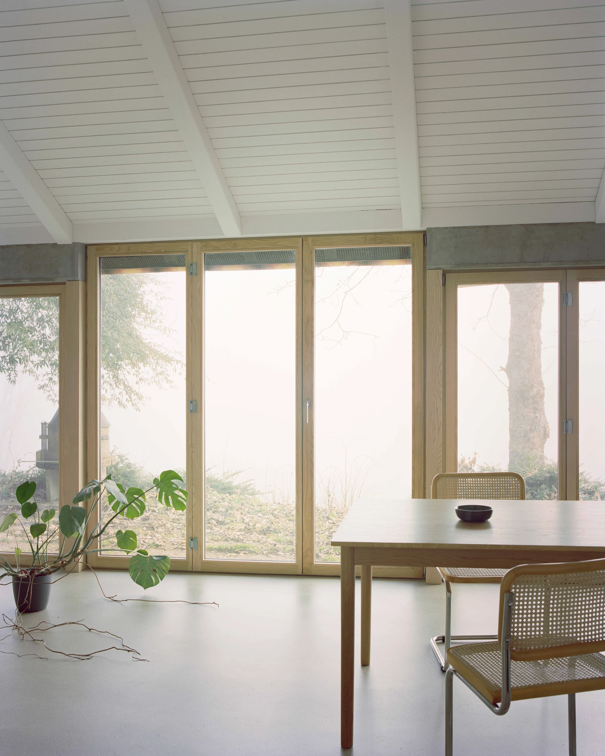 Modest white single-story villa with dark tile roof framed by bare winter trees in morning fog, autumn leaves scattered across a green lawn in the Swiss Jura foothills, Family Villa by Noue Studio, interior design