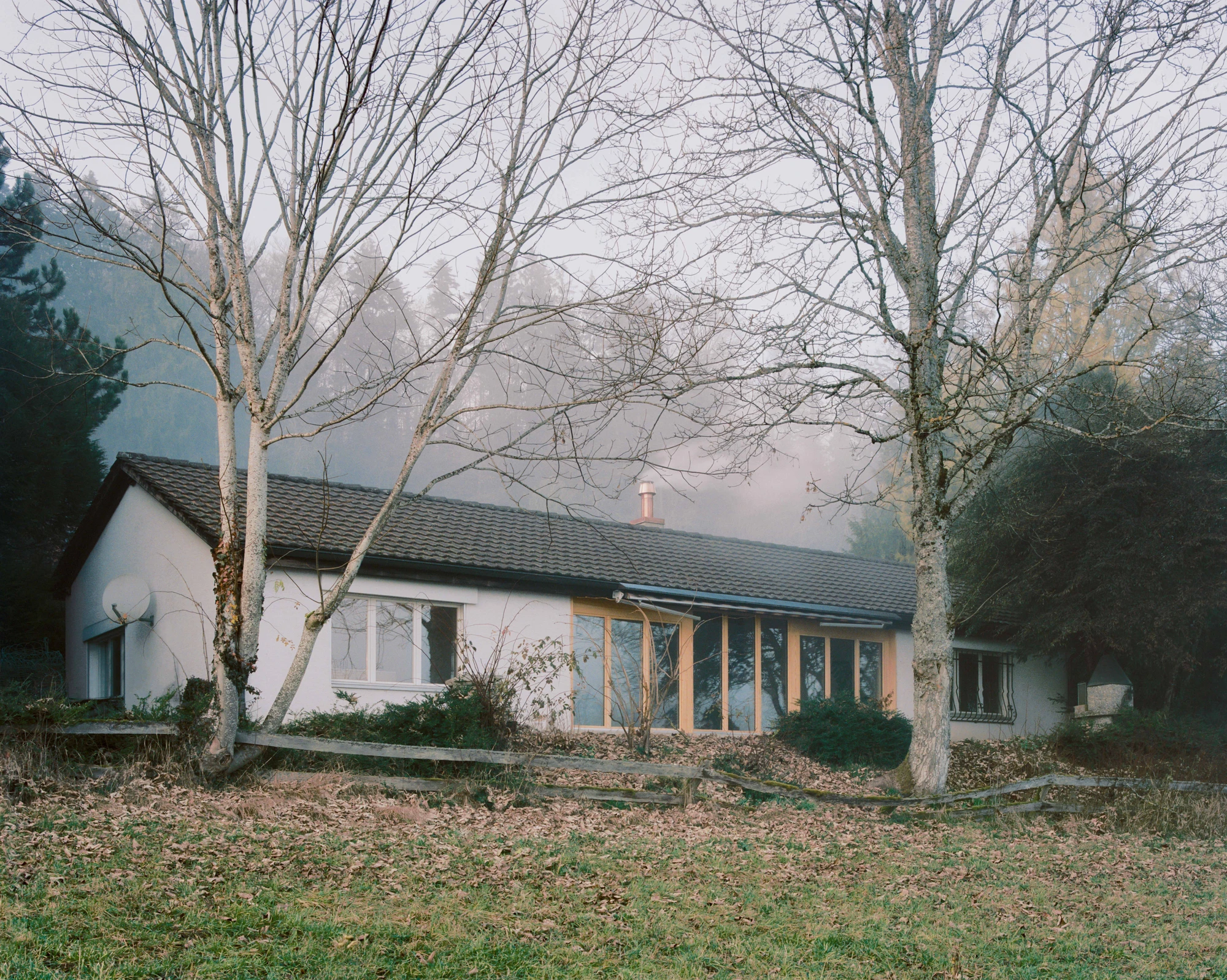 Modest white single-story villa with dark tile roof framed by bare winter trees in morning fog, autumn leaves scattered across a green lawn in the Swiss Jura foothills, Family Villa by Noue Studio, interior design