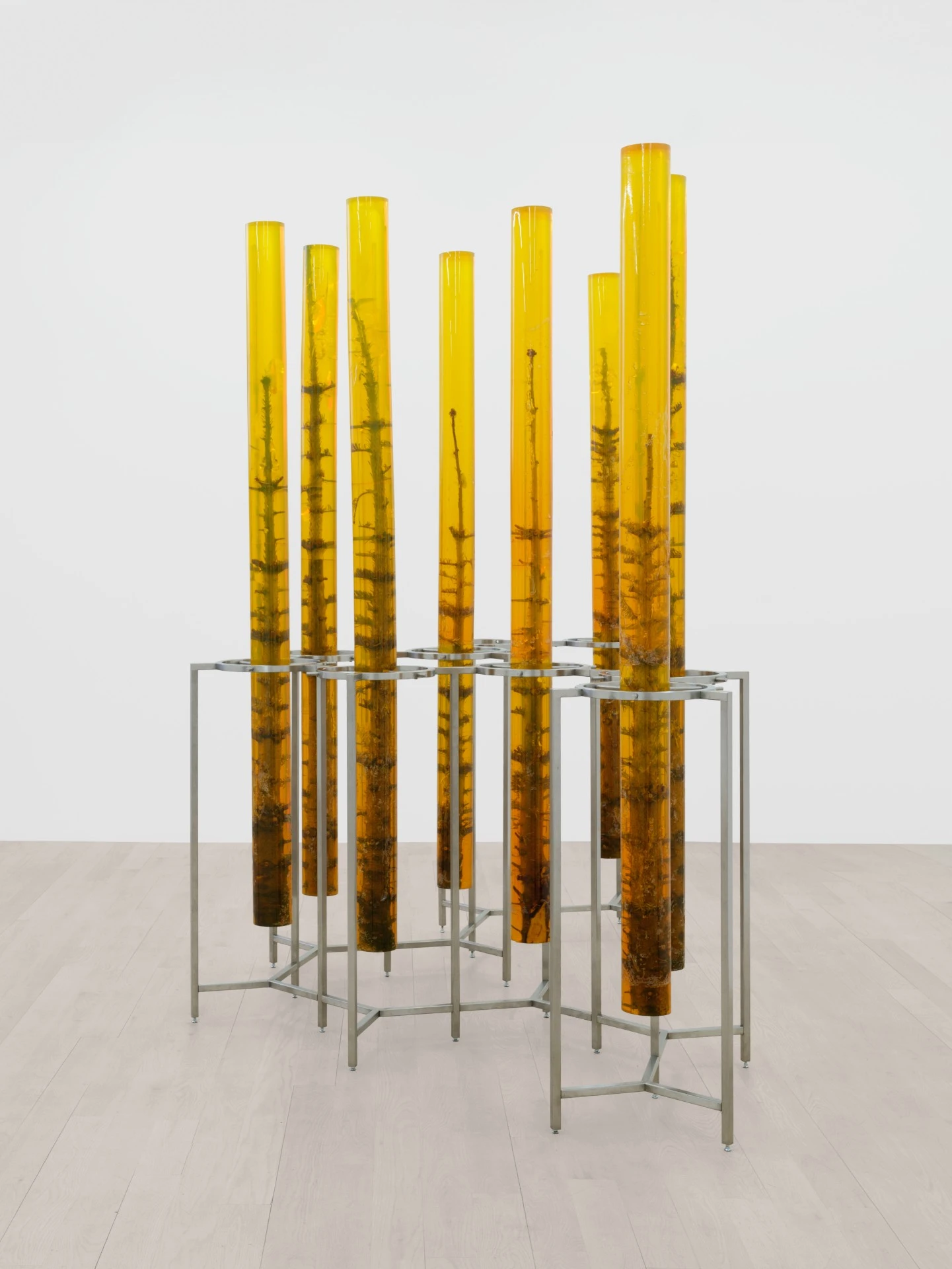 Außerkörperliche Erfahrung Wandering Spirit by Jura Shust at management New York, sculpture, installation, resin, Christmas trees, animism, exhibition, New York City Guide