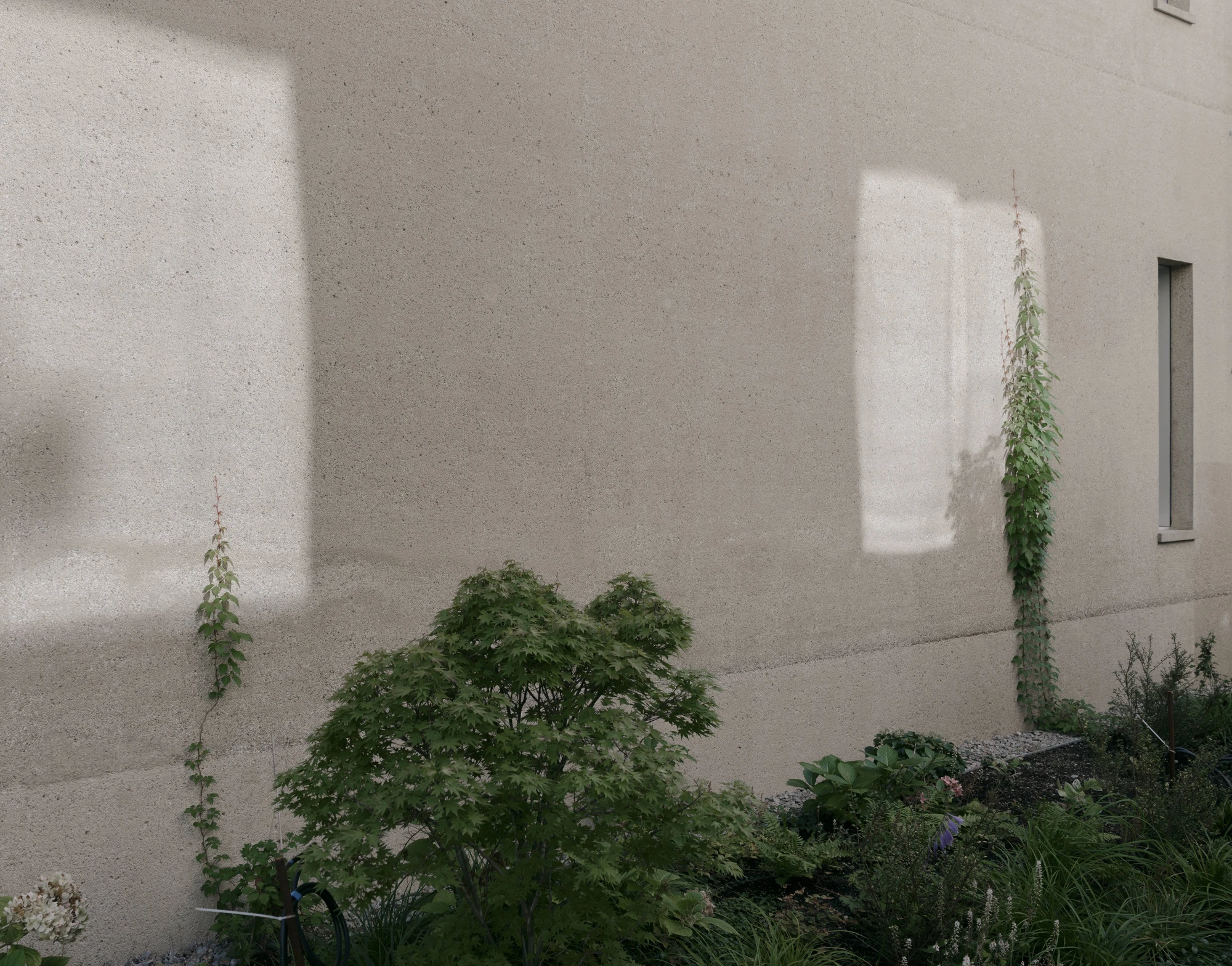 Ursulastraße 6 by Studio Mark Randel