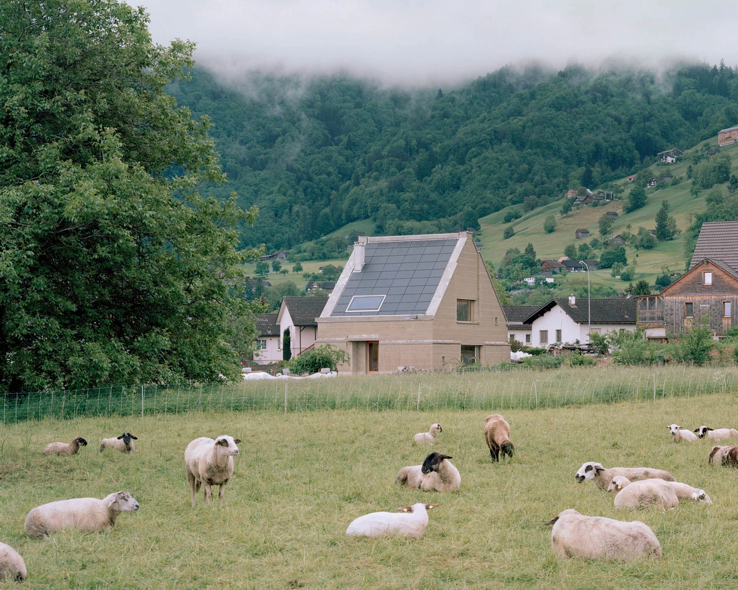The Gässli5 by allen + crippa architektur in Werdenberg Switzerland, rammed-earth and historic log house with permaculture garden, sustainable circular architecture