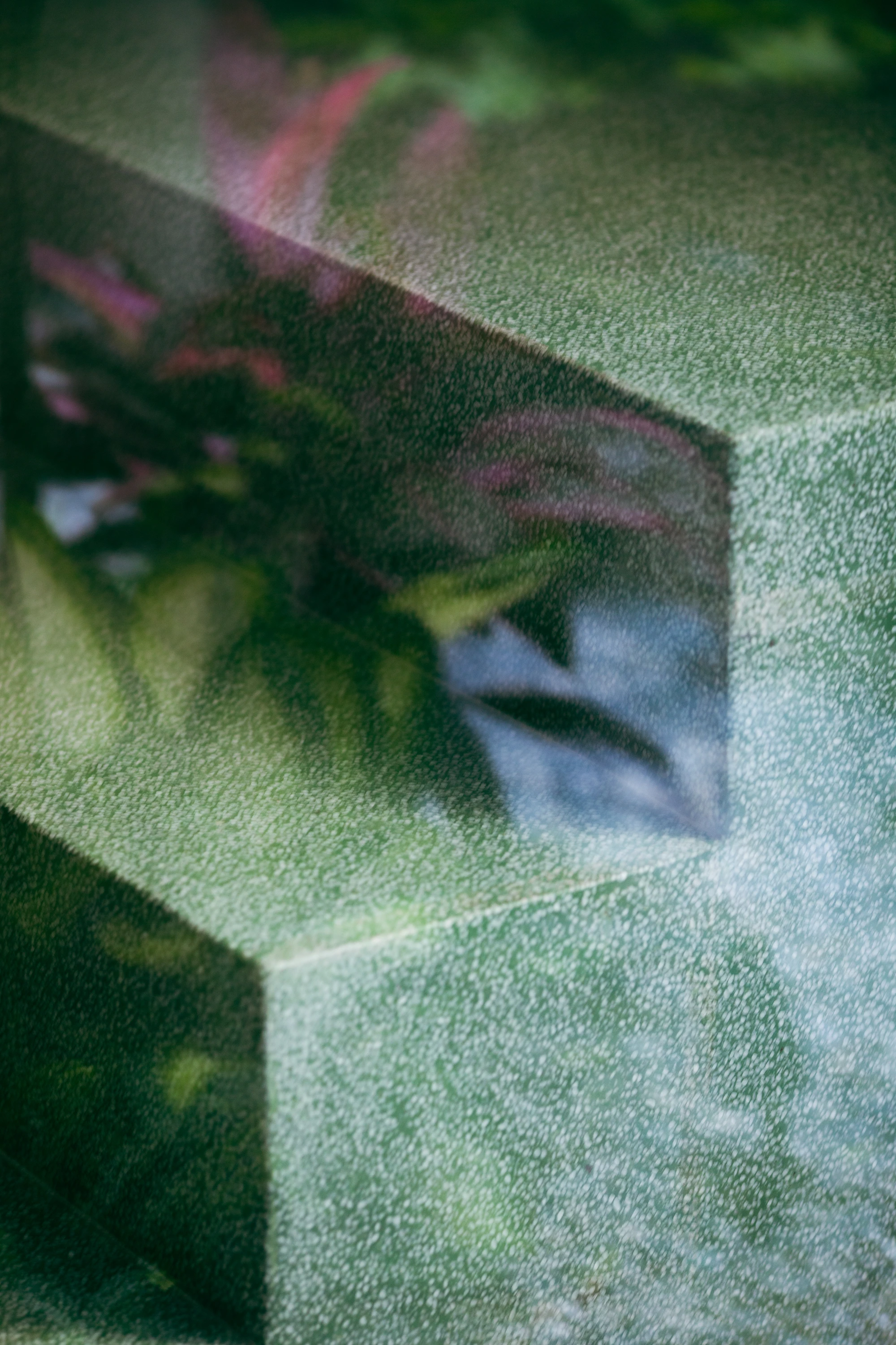 The Veil House by Paperfarm Inc in Kaohsiung Taiwan, perforated clay-brick facade filtering light, minimalist family house architecture with brick and garden