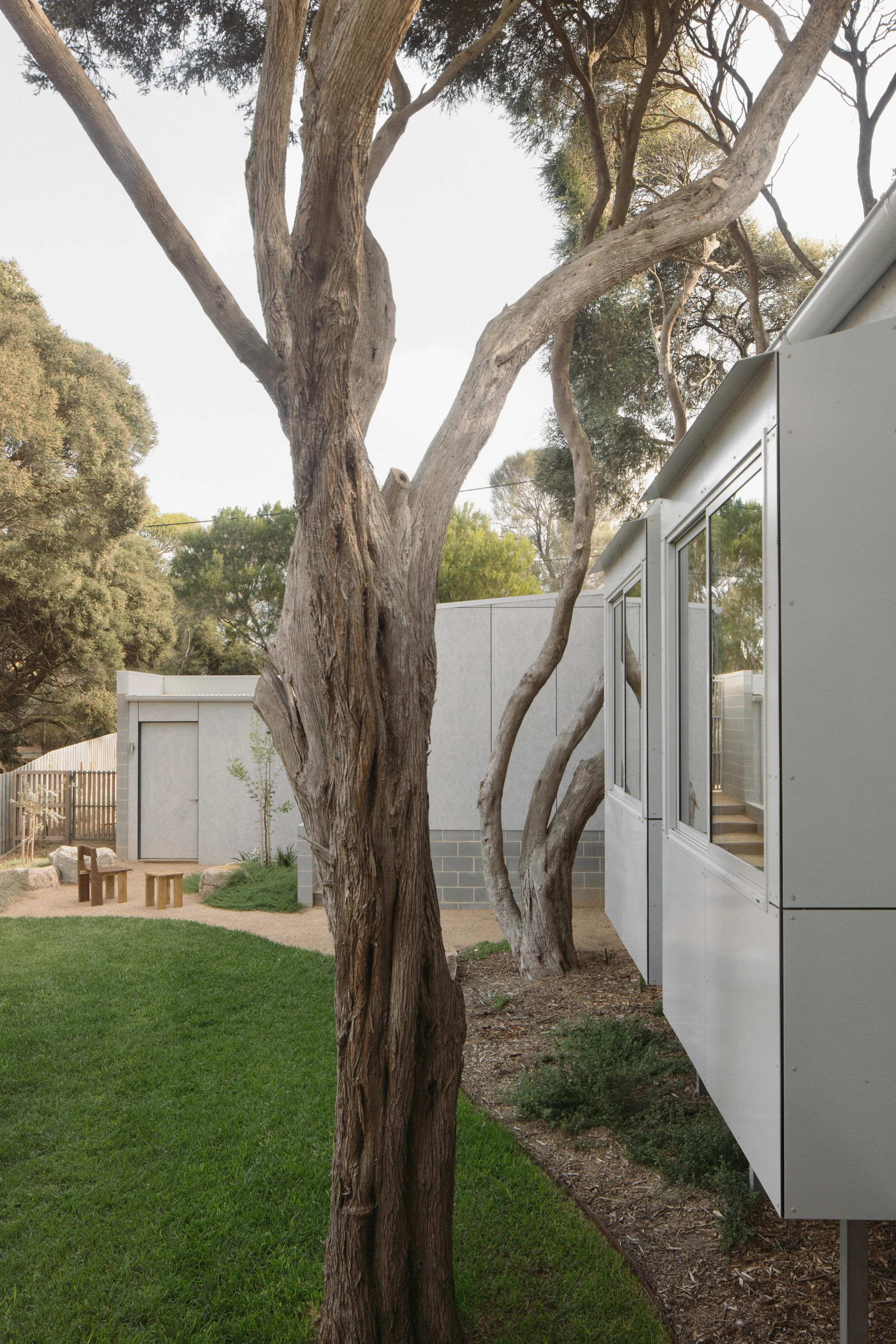 First House Past the Trees by Josh Cole WORKCRAFT in Barwon Heads Australia, residential architecture built around protected Moonah trees with fibre-cement and timber batten screens
