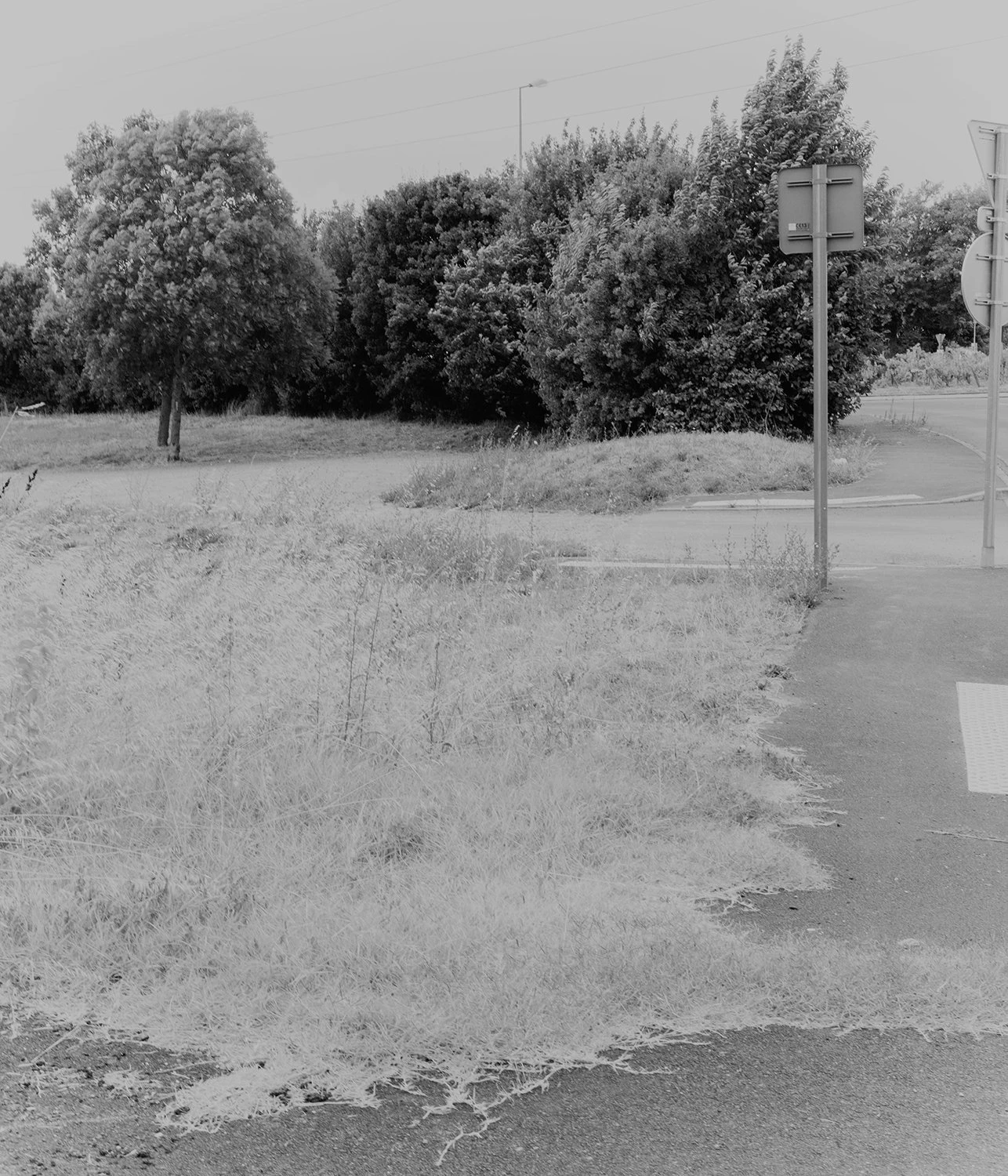 White Noise photography series by Gabriel Gómez on Phroom Platform, Venezuelan photographer in Paris exploring memory vulnerability and fashion portraiture, Prix Picto 2024