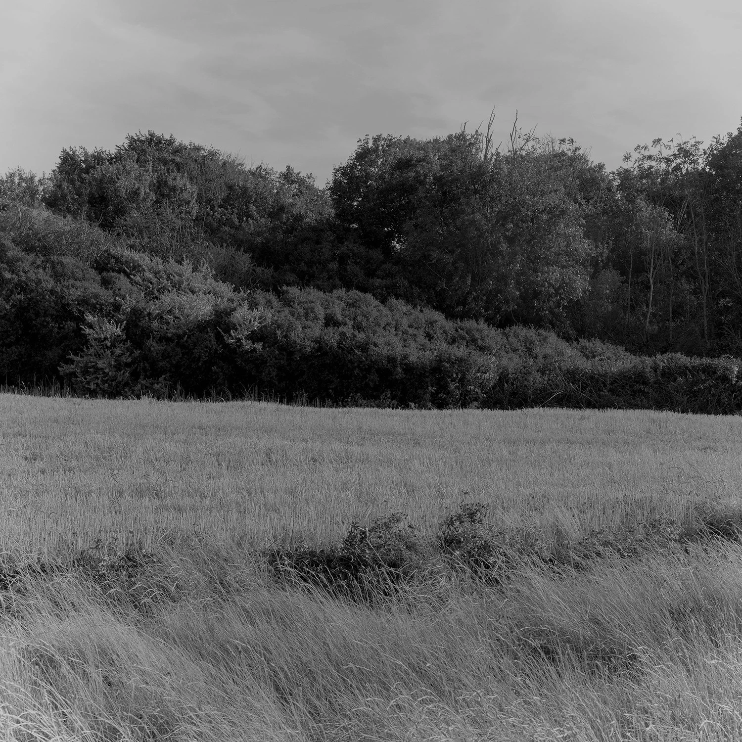 White Noise photography series by Gabriel Gómez on Phroom Platform, Venezuelan photographer in Paris exploring memory vulnerability and fashion portraiture, Prix Picto 2024