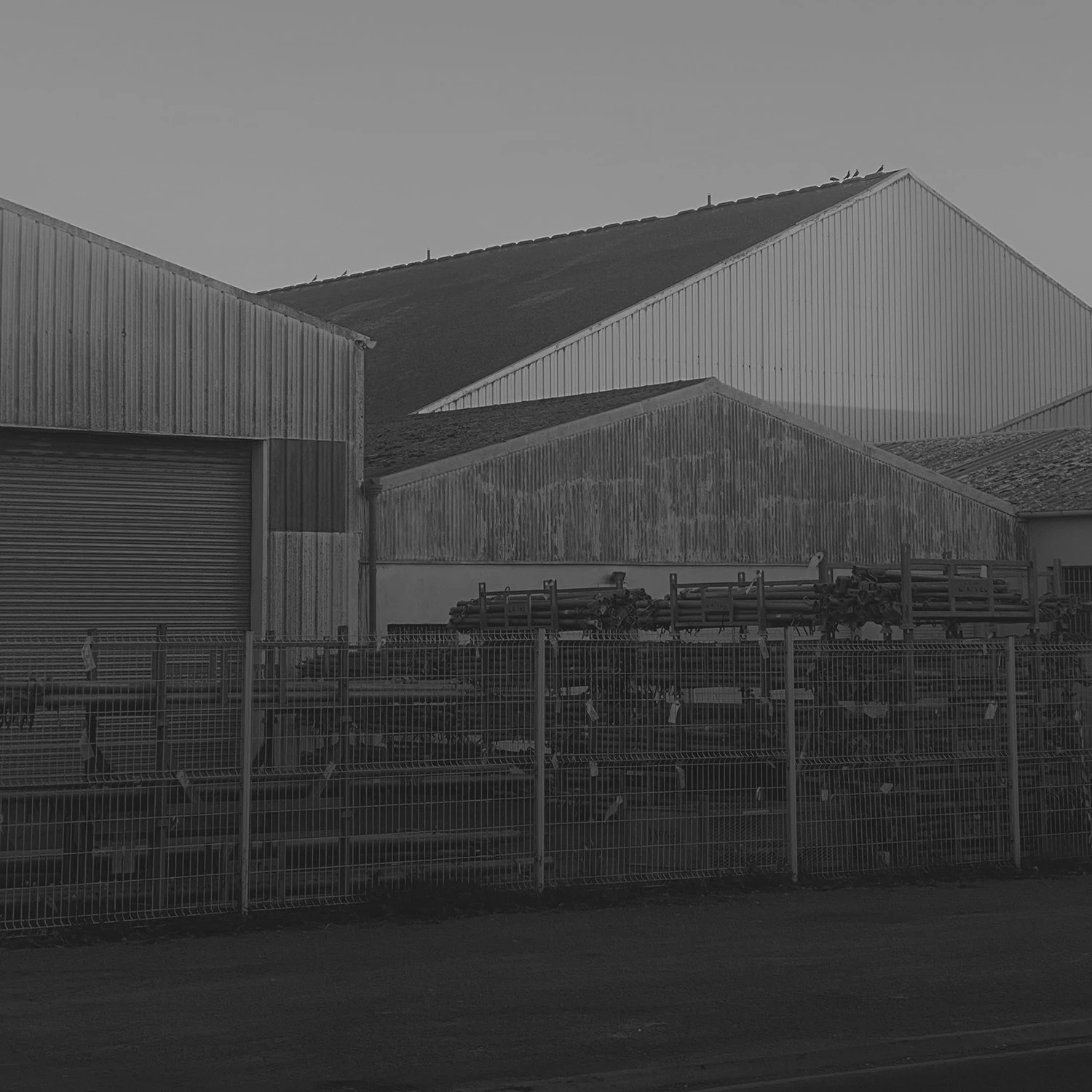 White Noise photography series by Gabriel Gómez on Phroom Platform, Venezuelan photographer in Paris exploring memory vulnerability and fashion portraiture, Prix Picto 2024