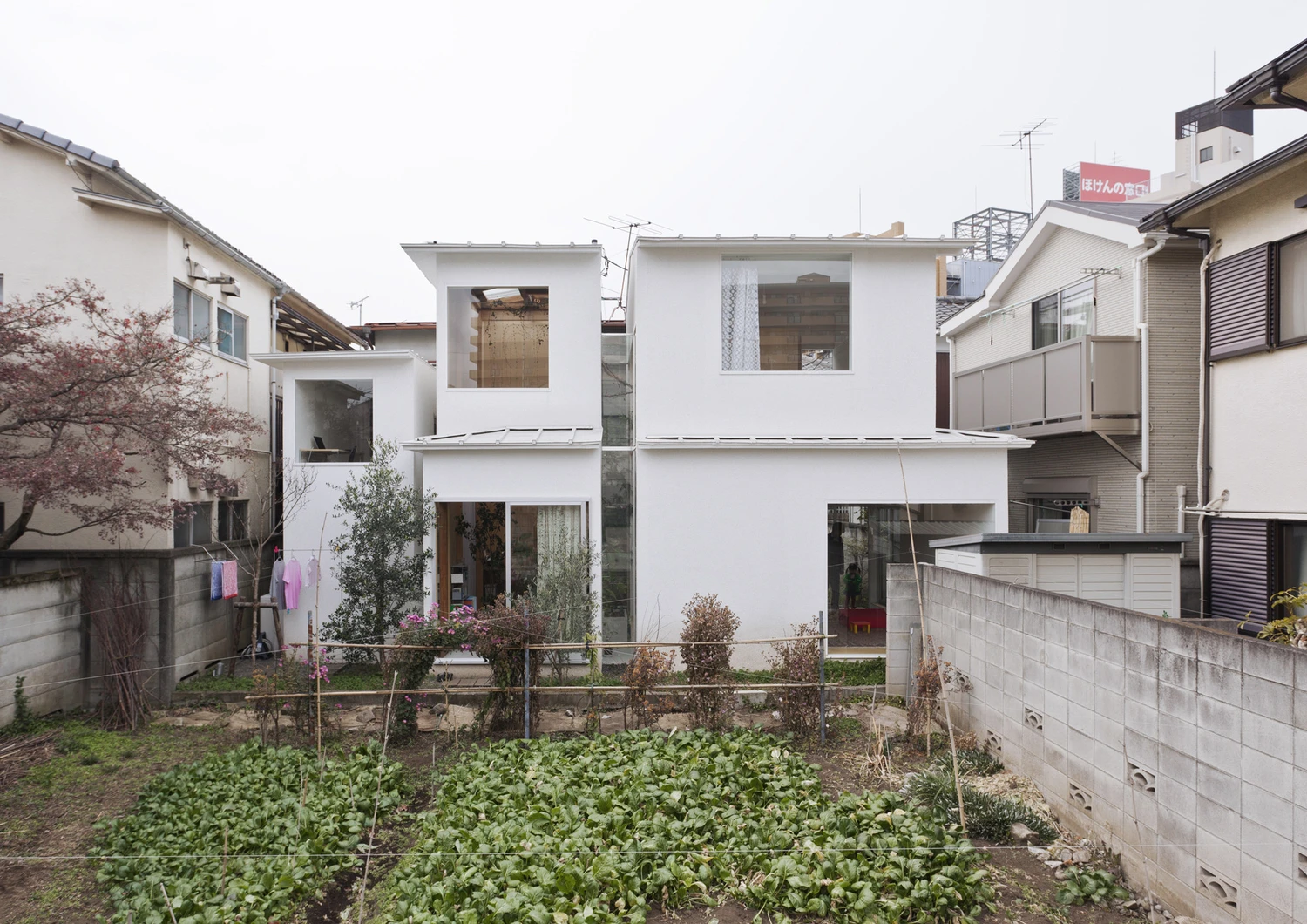 House Komazawa Park by miCo in Tokyo Japan, minimalist Japanese residence with exposed timber structure plywood interiors and abundant plants near Komazawa Park