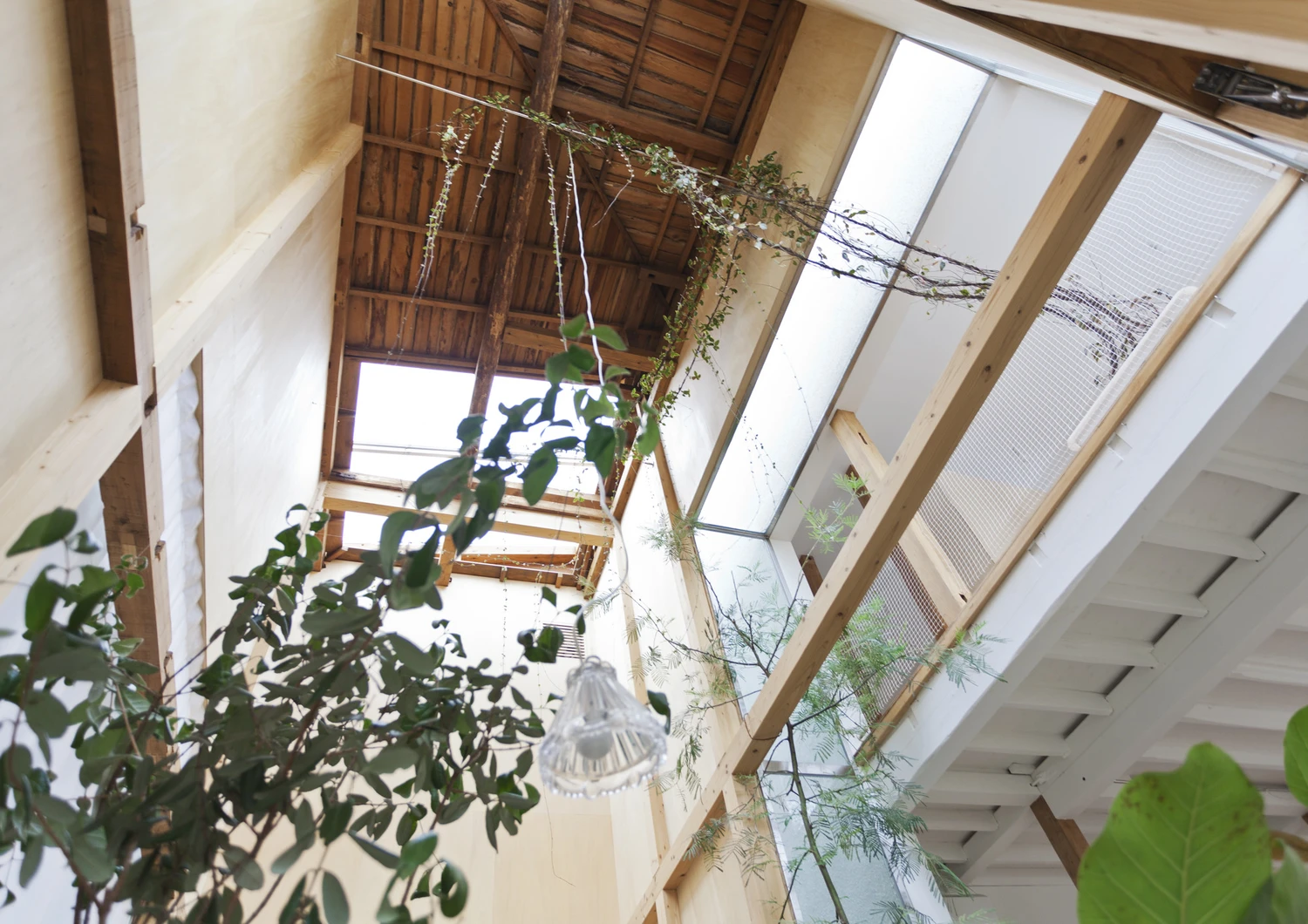 House Komazawa Park by miCo in Tokyo Japan, minimalist Japanese residence with exposed timber structure plywood interiors and abundant plants near Komazawa Park