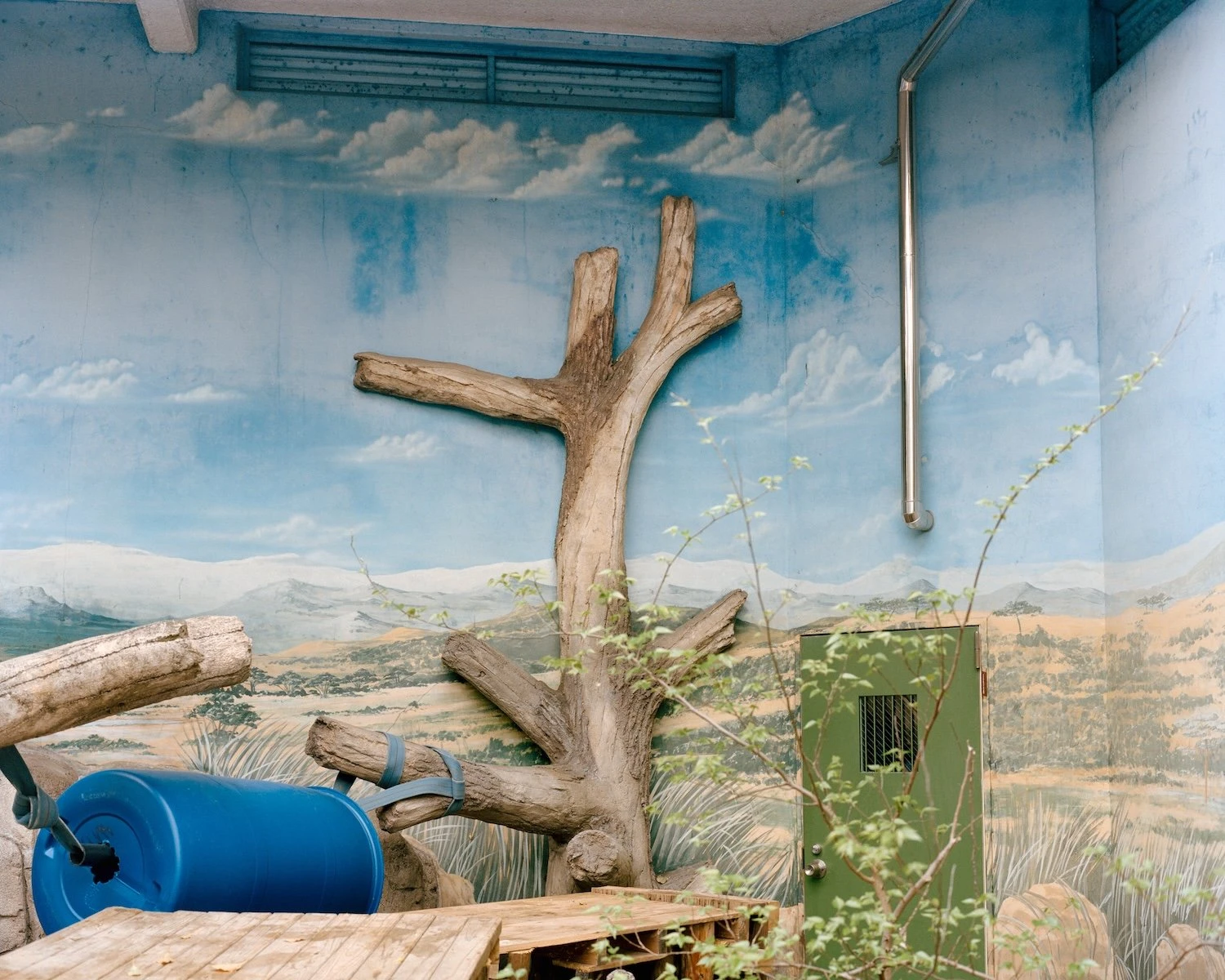 W.E.I.R.D. by Nicolò Rinaldi, Kyoto, Japan, photography, biomimicry, nature, artificial environments