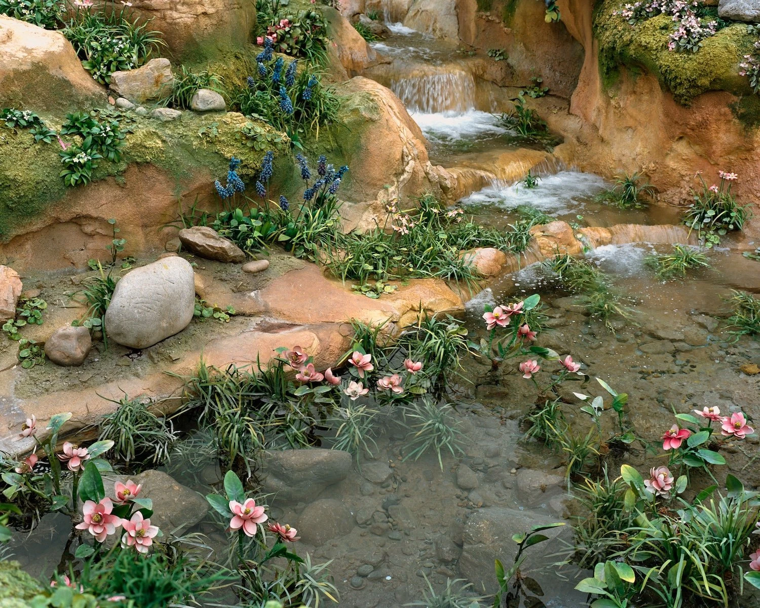 W.E.I.R.D. by Nicolò Rinaldi, Kyoto, Japan, photography, biomimicry, nature, artificial environments