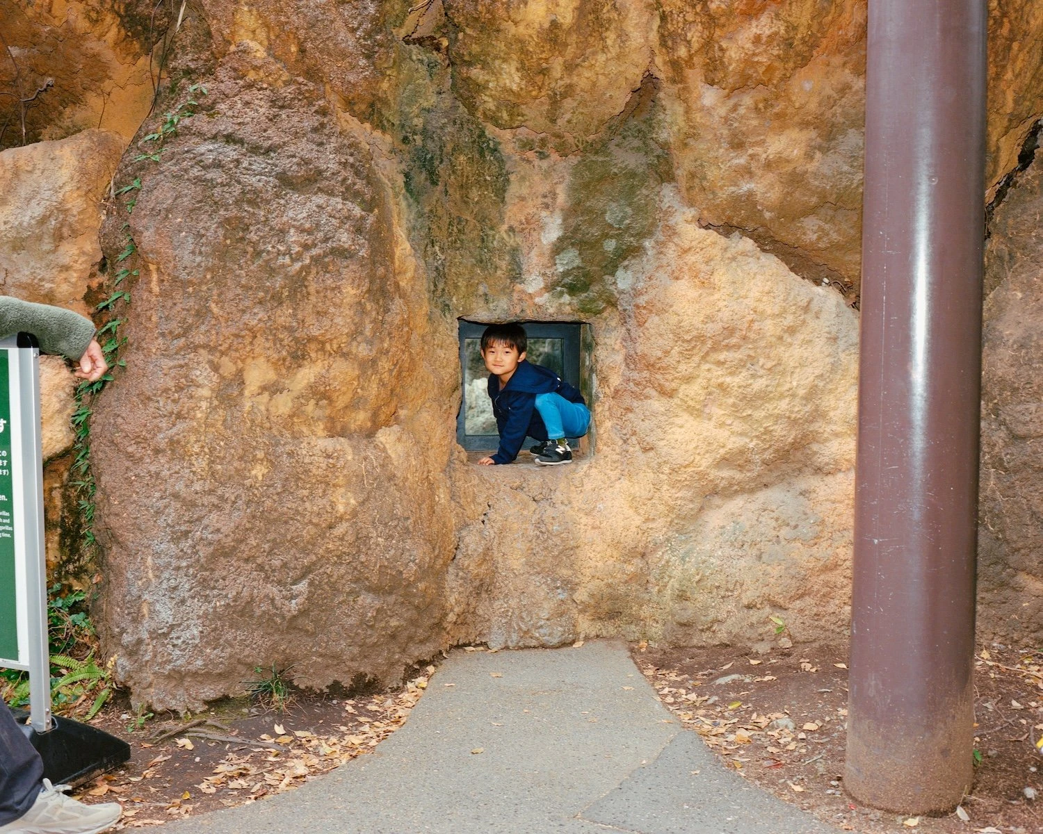 W.E.I.R.D. by Nicolò Rinaldi, Kyoto, Japan, photography, biomimicry, nature, artificial environments