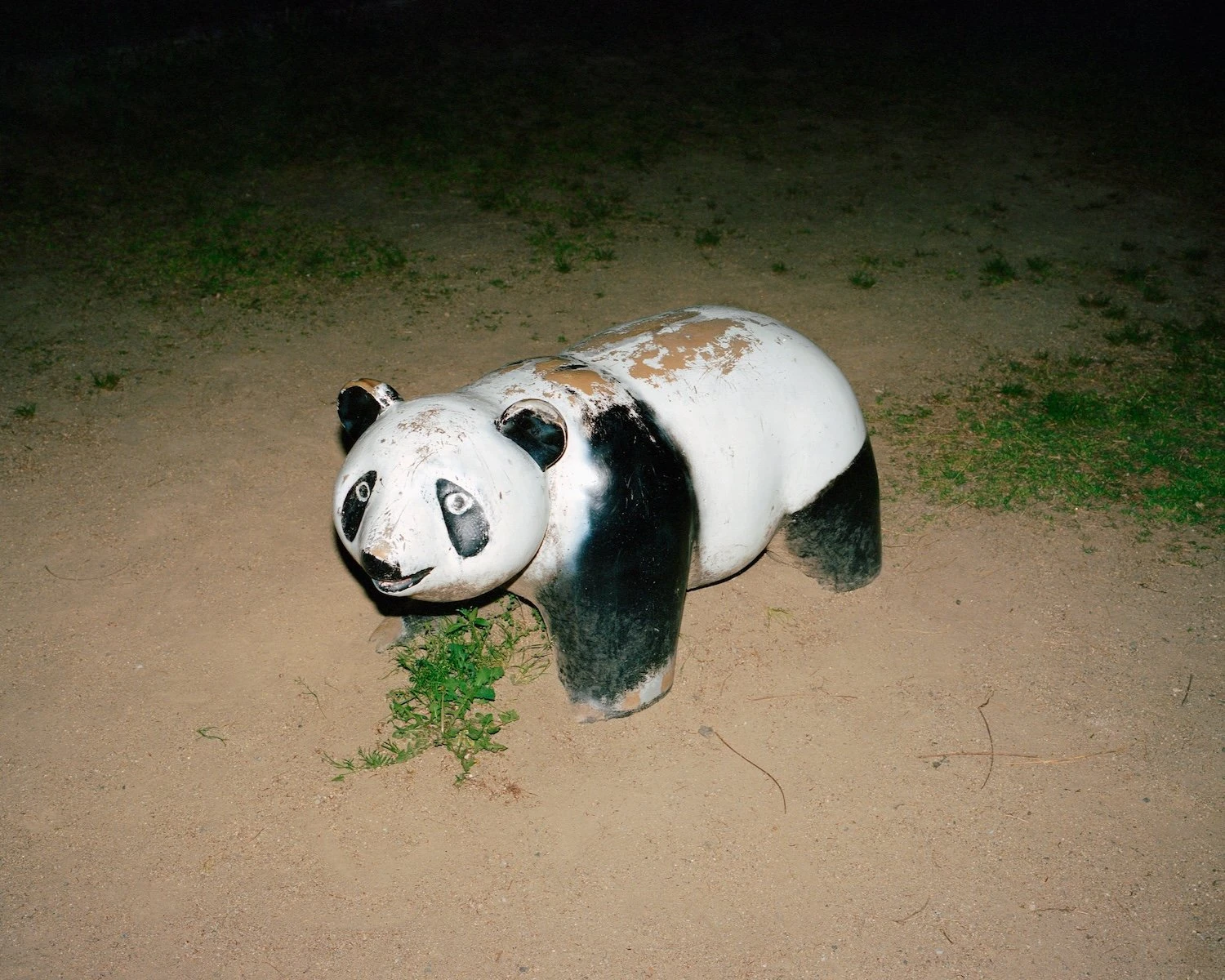 W.E.I.R.D. by Nicolò Rinaldi, Kyoto, Japan, photography, biomimicry, nature, artificial environments