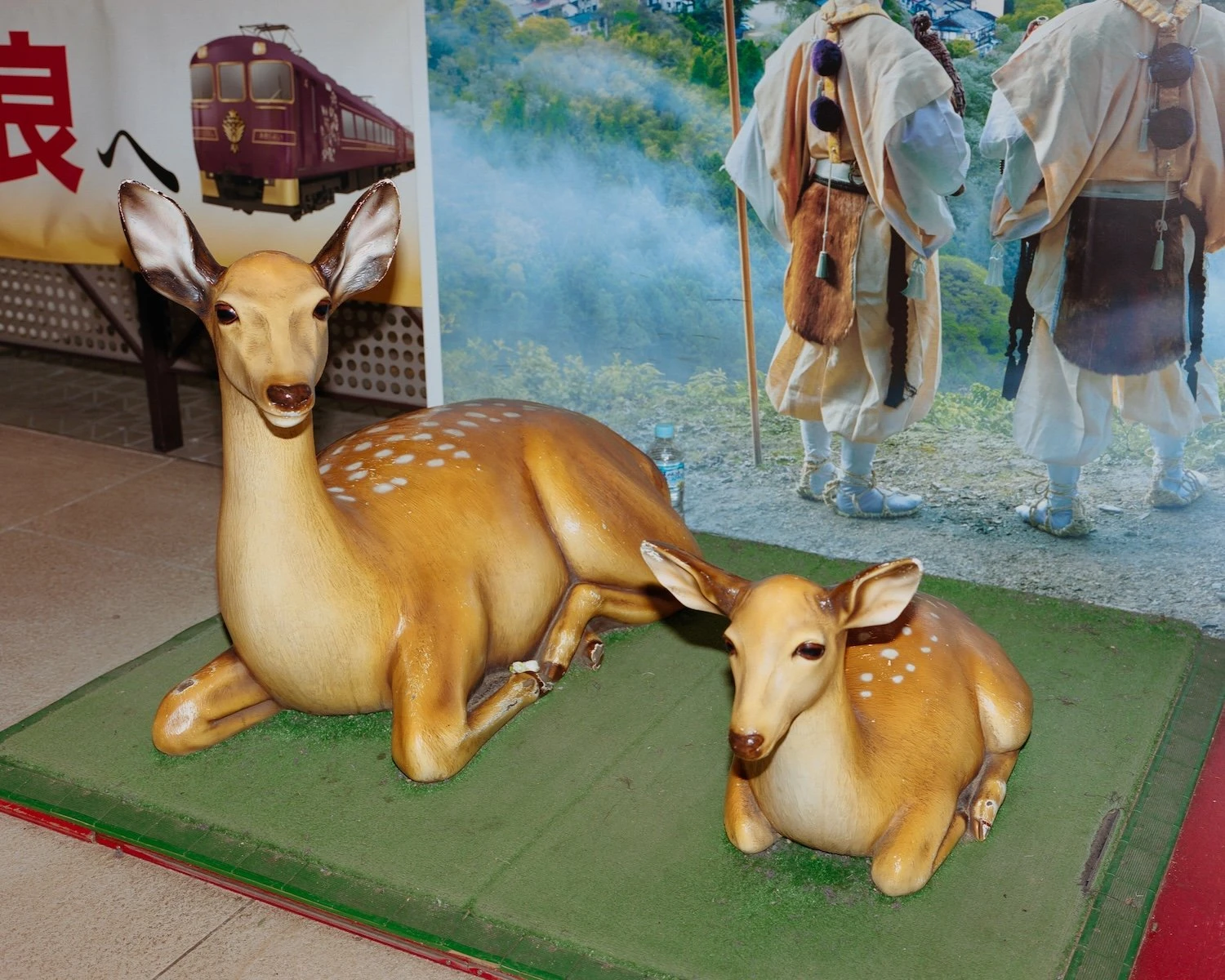 W.E.I.R.D. by Nicolò Rinaldi, Kyoto, Japan, photography, biomimicry, nature, artificial environments