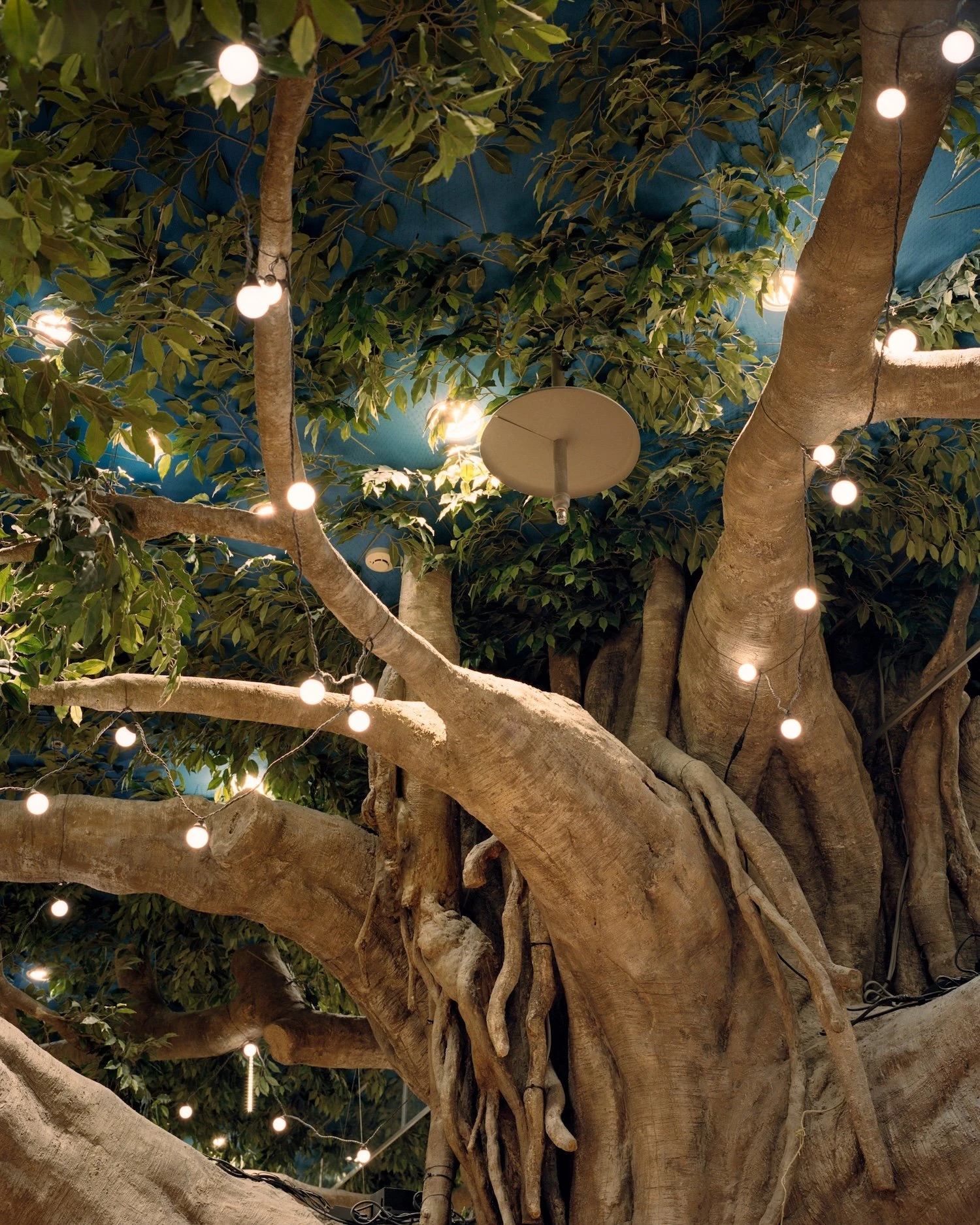 W.E.I.R.D. by Nicolò Rinaldi, Kyoto, Japan, photography, biomimicry, nature, artificial environments