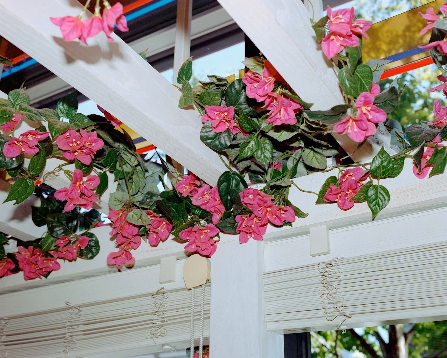 W.E.I.R.D. by Nicolò Rinaldi, Kyoto, Japan, photography, biomimicry, nature, artificial environments