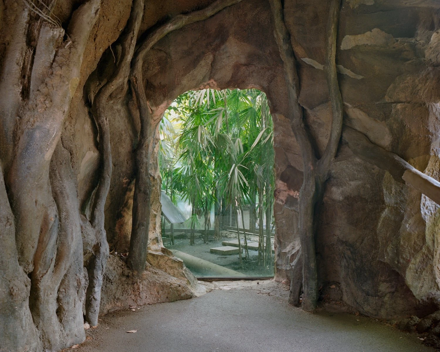 W.E.I.R.D. by Nicolò Rinaldi, Kyoto, Japan, photography, biomimicry, nature, artificial environments