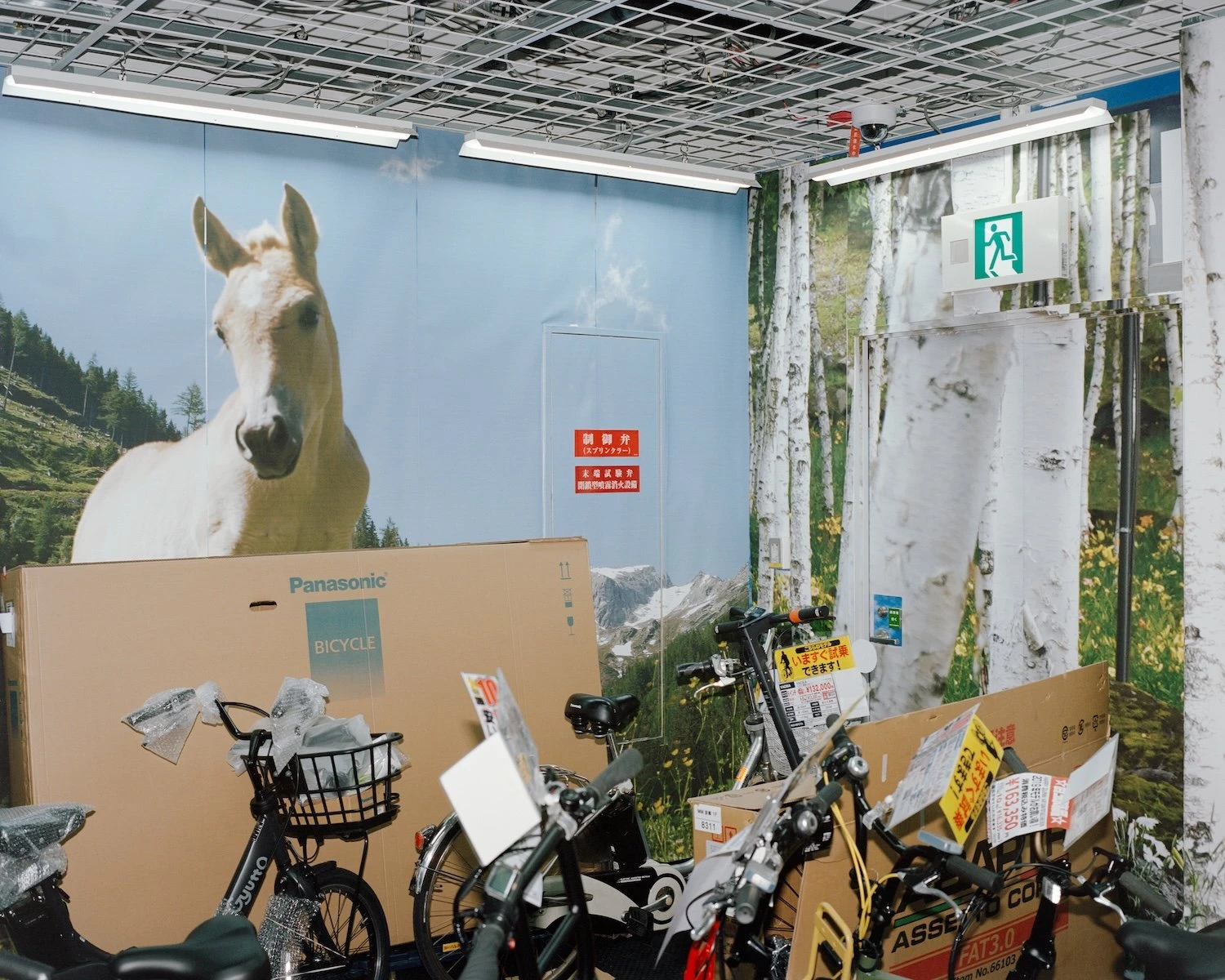 W.E.I.R.D. by Nicolò Rinaldi, Kyoto, Japan, photography, biomimicry, nature, artificial environments