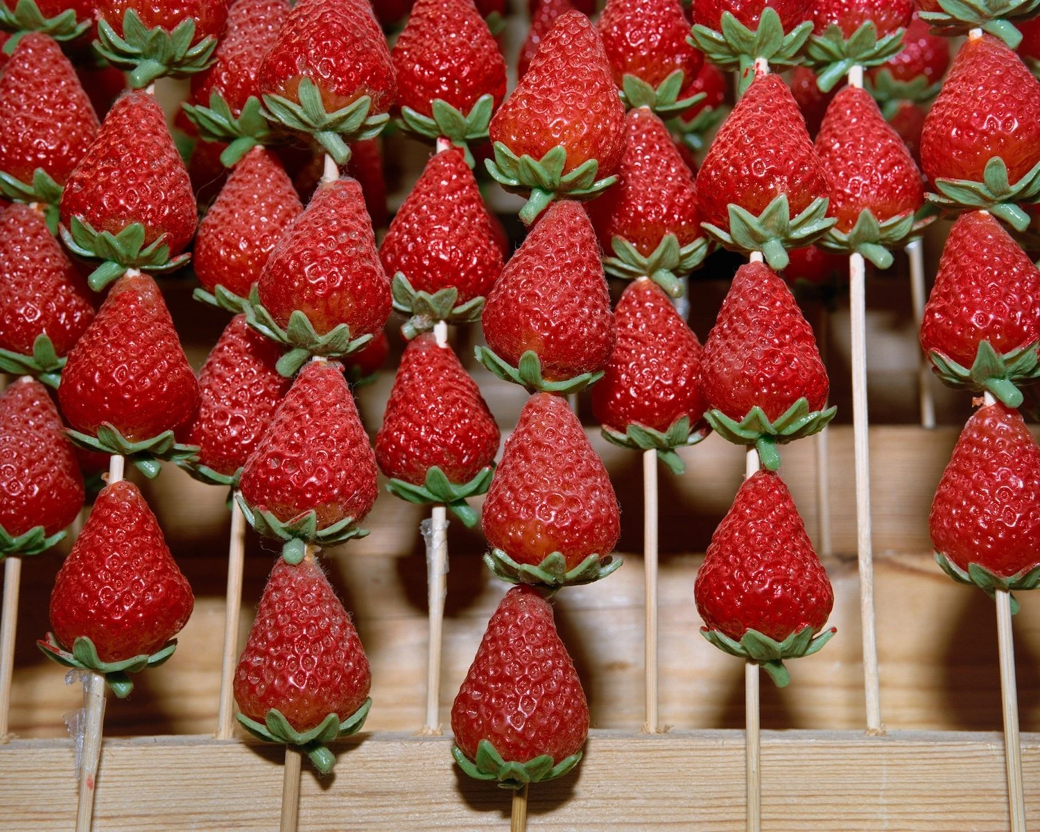 W.E.I.R.D. by Nicolò Rinaldi, Kyoto, Japan, photography, biomimicry, nature, artificial environments