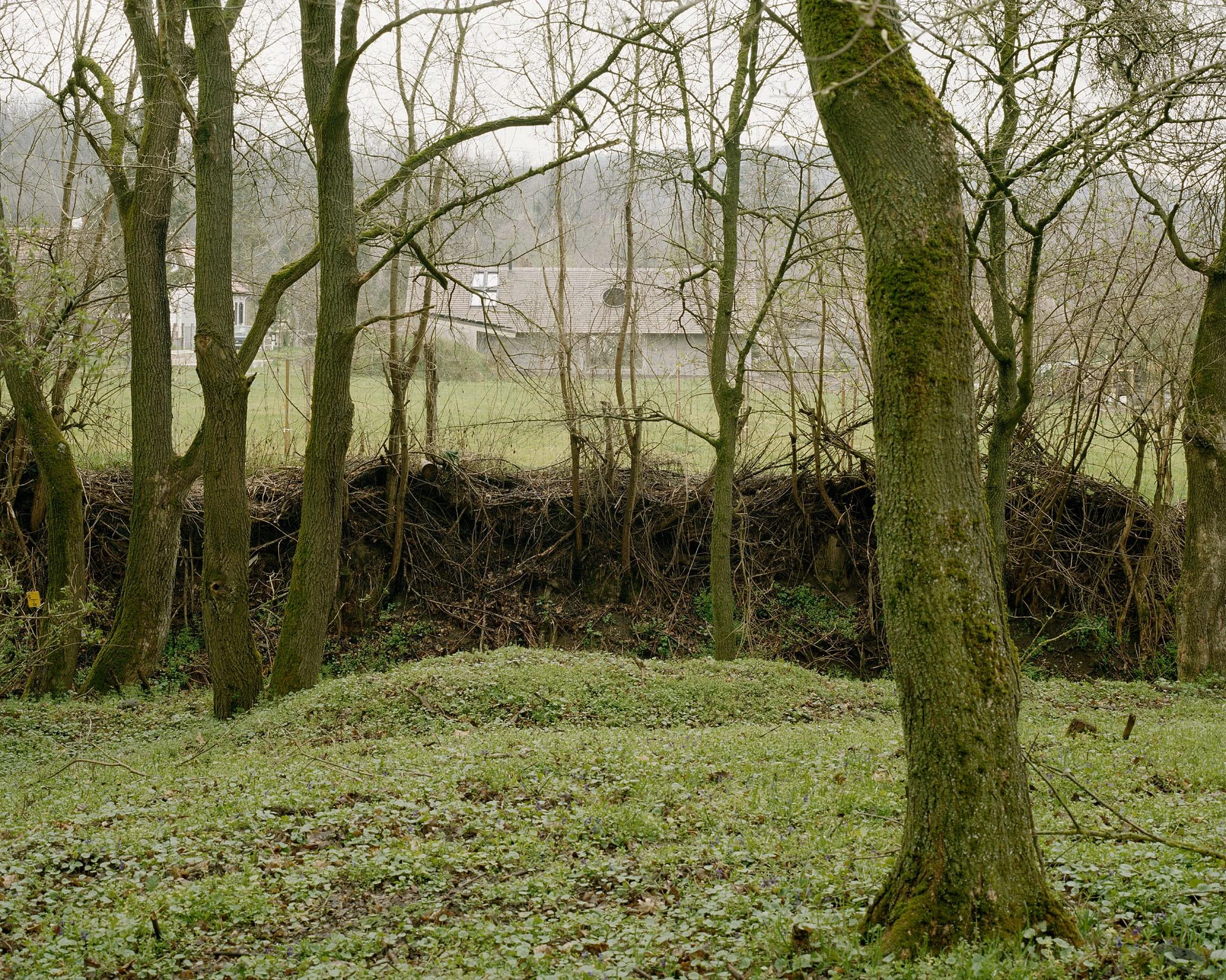 House and Beeyard by OKKA Architects, Western Hungary, rammed concrete, stone, wooden shingles, rural architecture