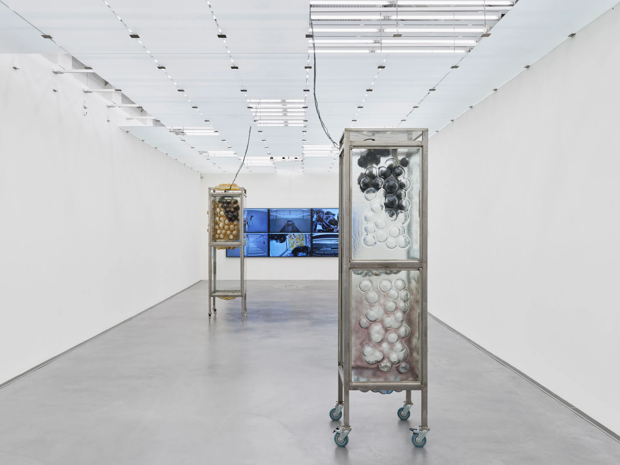 Desire Path by Agata Ingarden, Kunstmuseum Appenzell, Switzerland, sculpture, installation art, organic forms