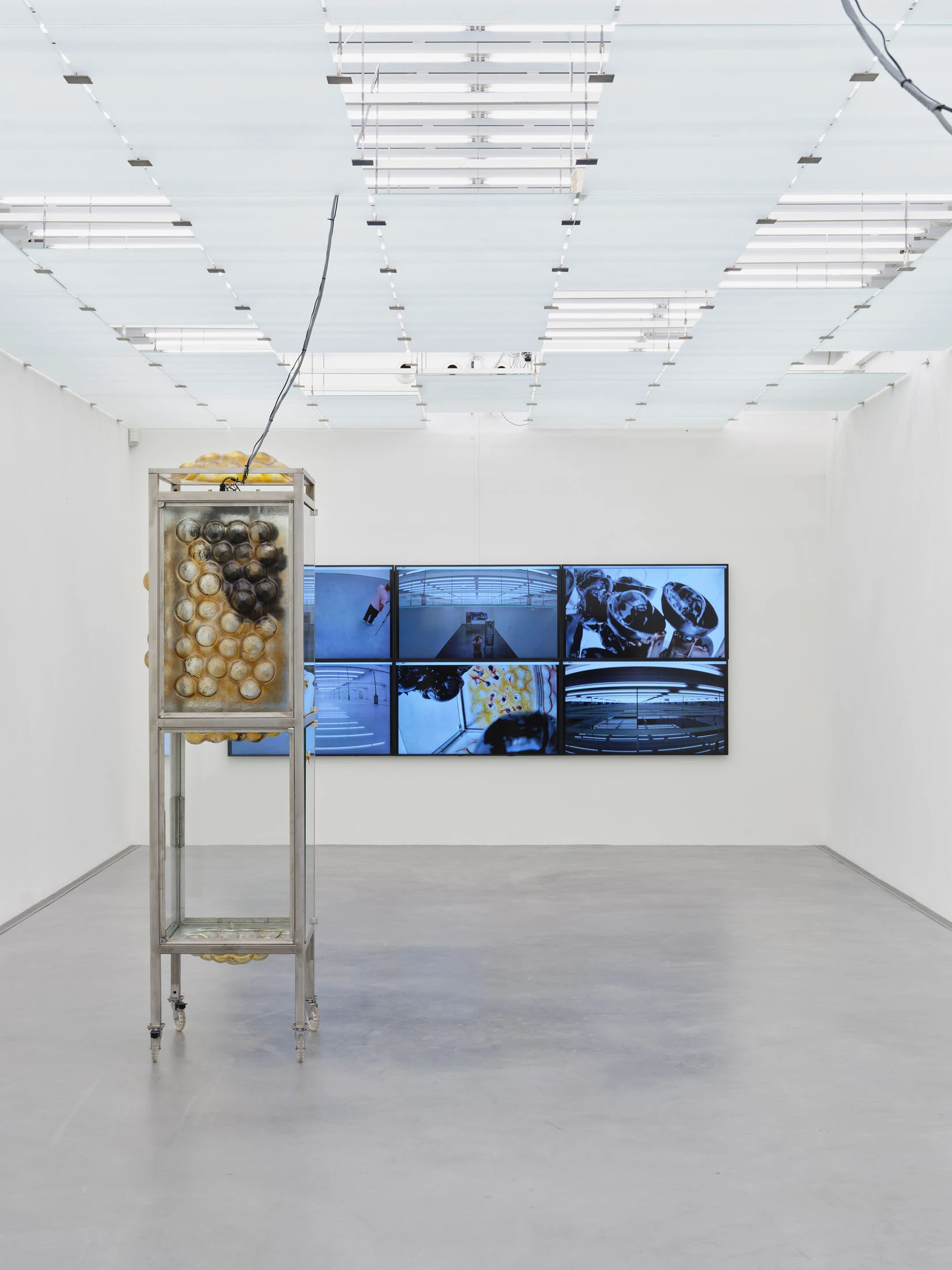 Desire Path by Agata Ingarden, Kunstmuseum Appenzell, Switzerland, sculpture, installation art, organic forms