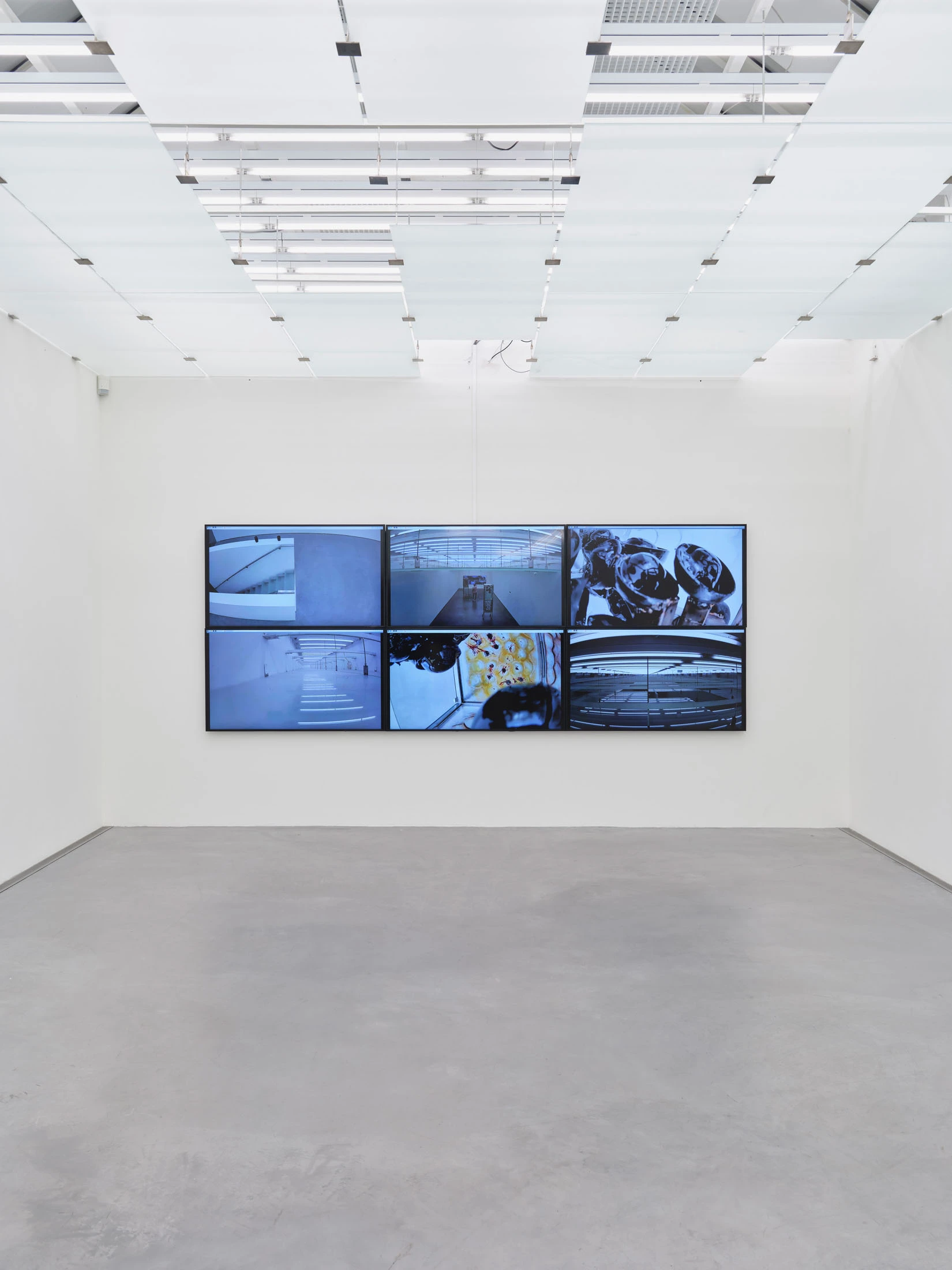 Desire Path by Agata Ingarden, Kunstmuseum Appenzell, Switzerland, sculpture, installation art, organic forms