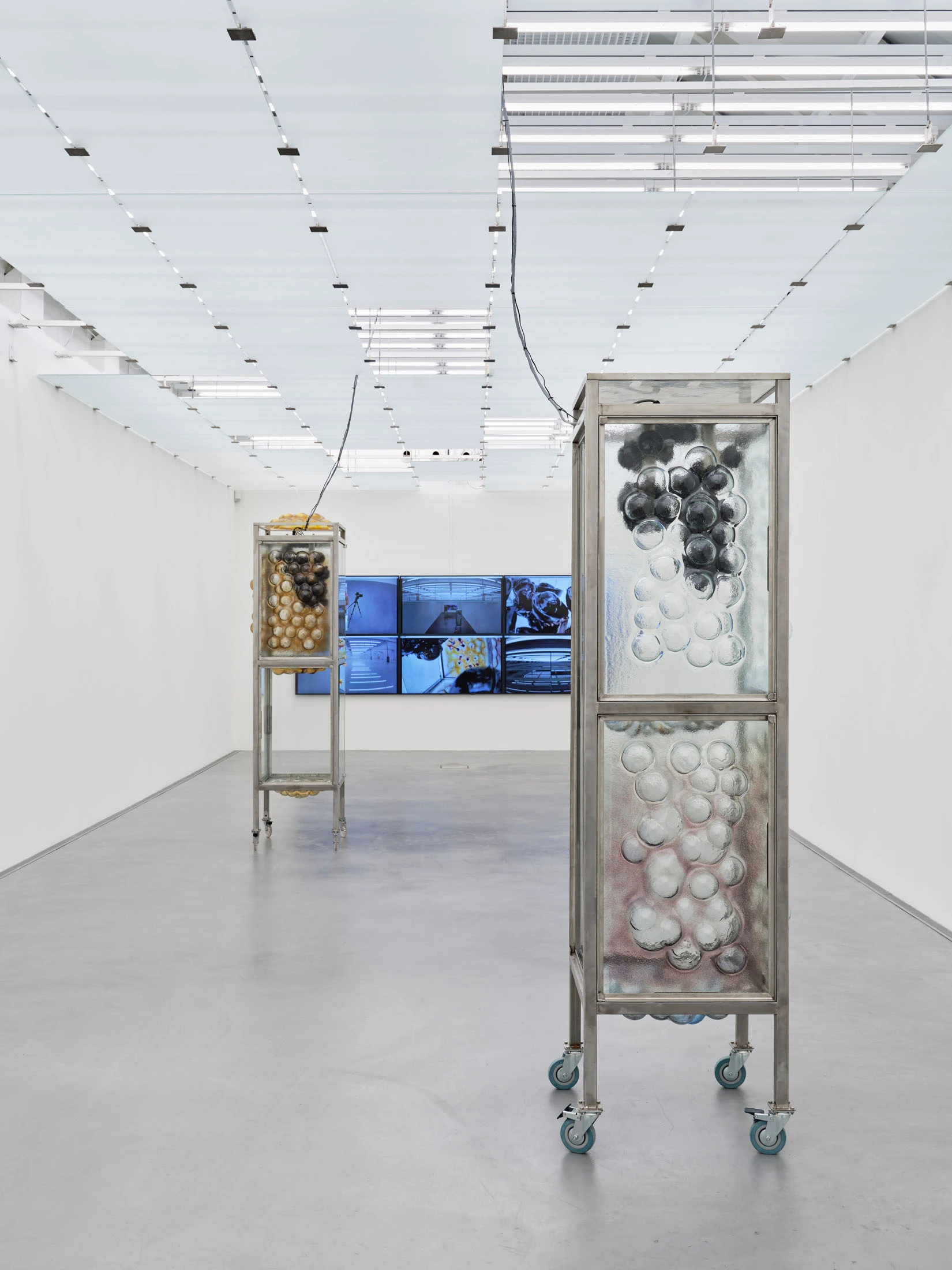 Desire Path by Agata Ingarden, Kunstmuseum Appenzell, Switzerland, sculpture, installation art, organic forms