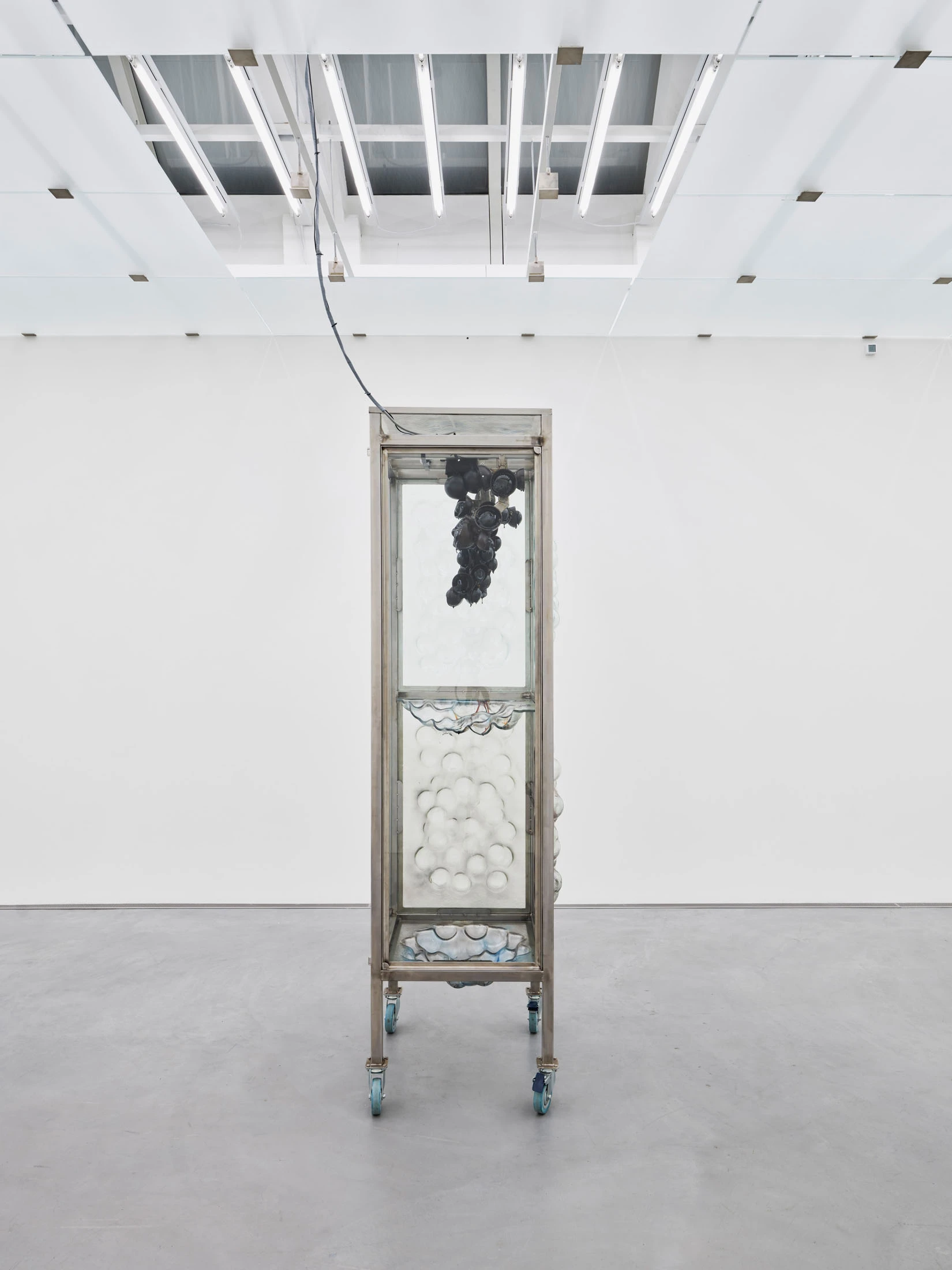 Desire Path by Agata Ingarden, Kunstmuseum Appenzell, Switzerland, sculpture, installation art, organic forms