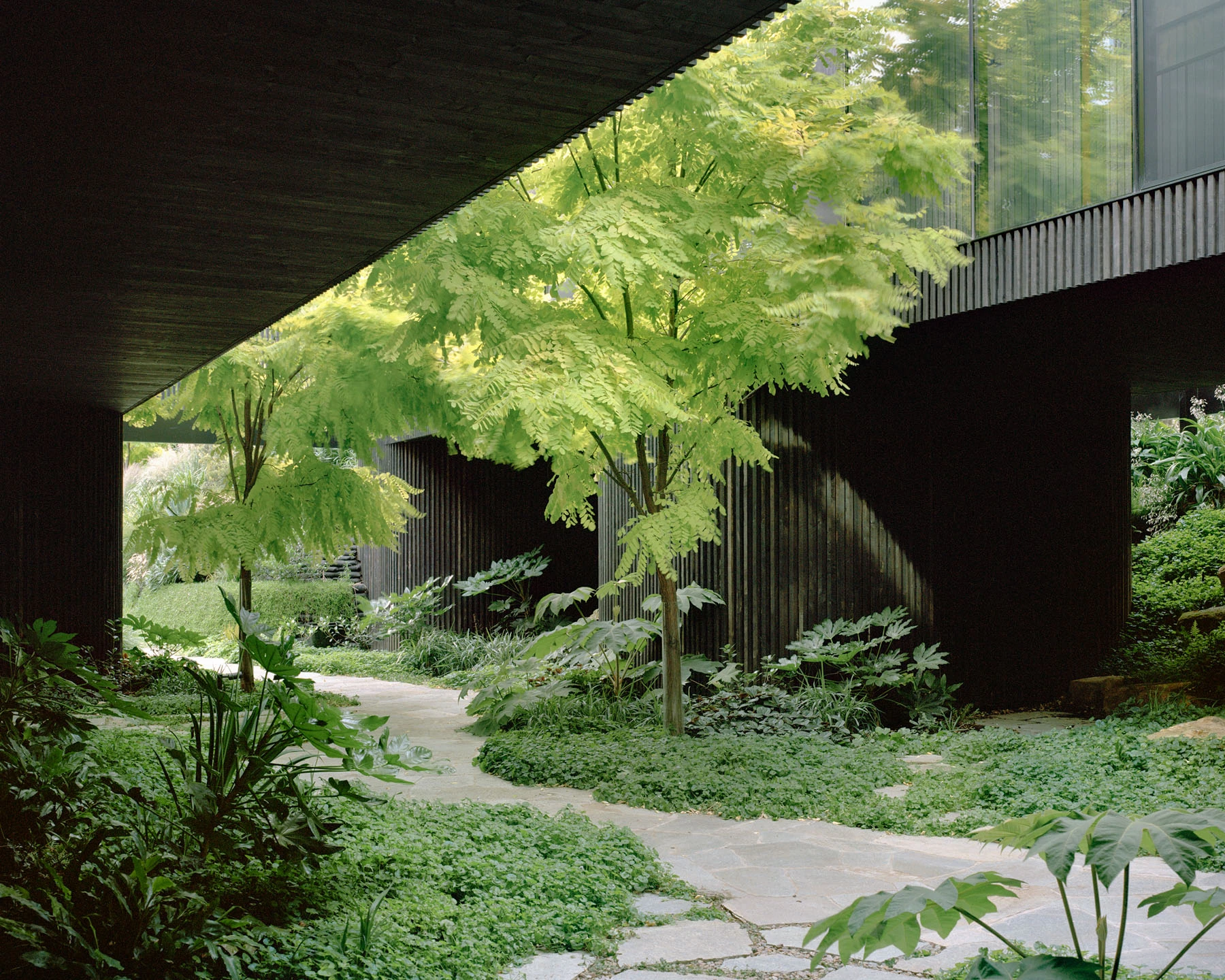 Garden Terrace by Edition Office, Melbourne Australia, riverside house, forest canopy architecture, landscape