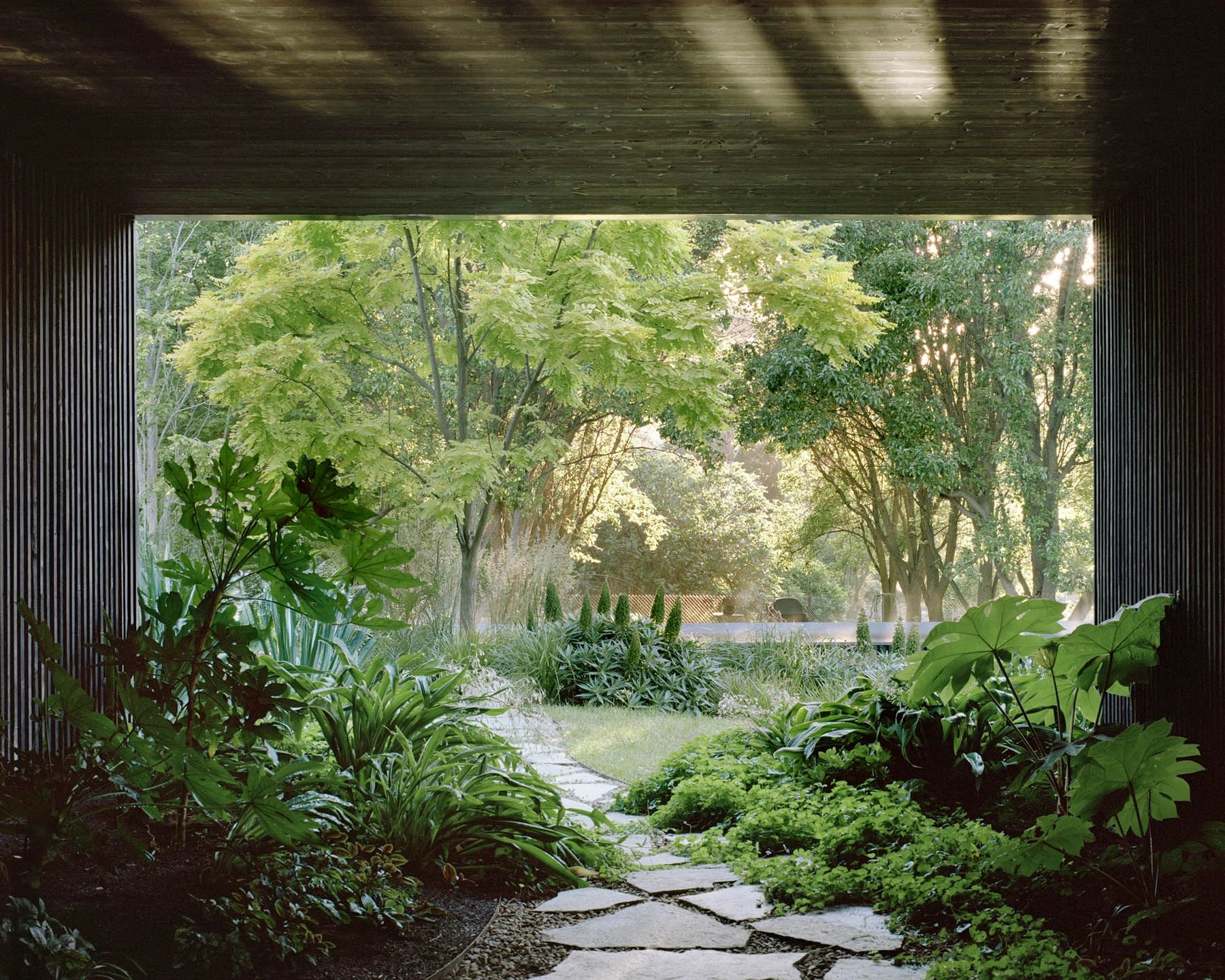 Garden Terrace by Edition Office, Melbourne Australia, riverside house, forest canopy architecture, landscape