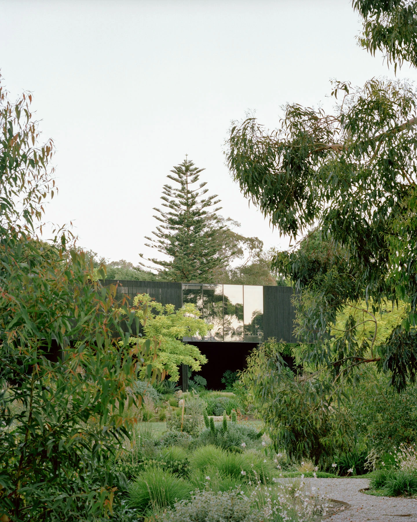 Garden Terrace by Edition Office, Melbourne Australia, riverside house, forest canopy architecture, landscape