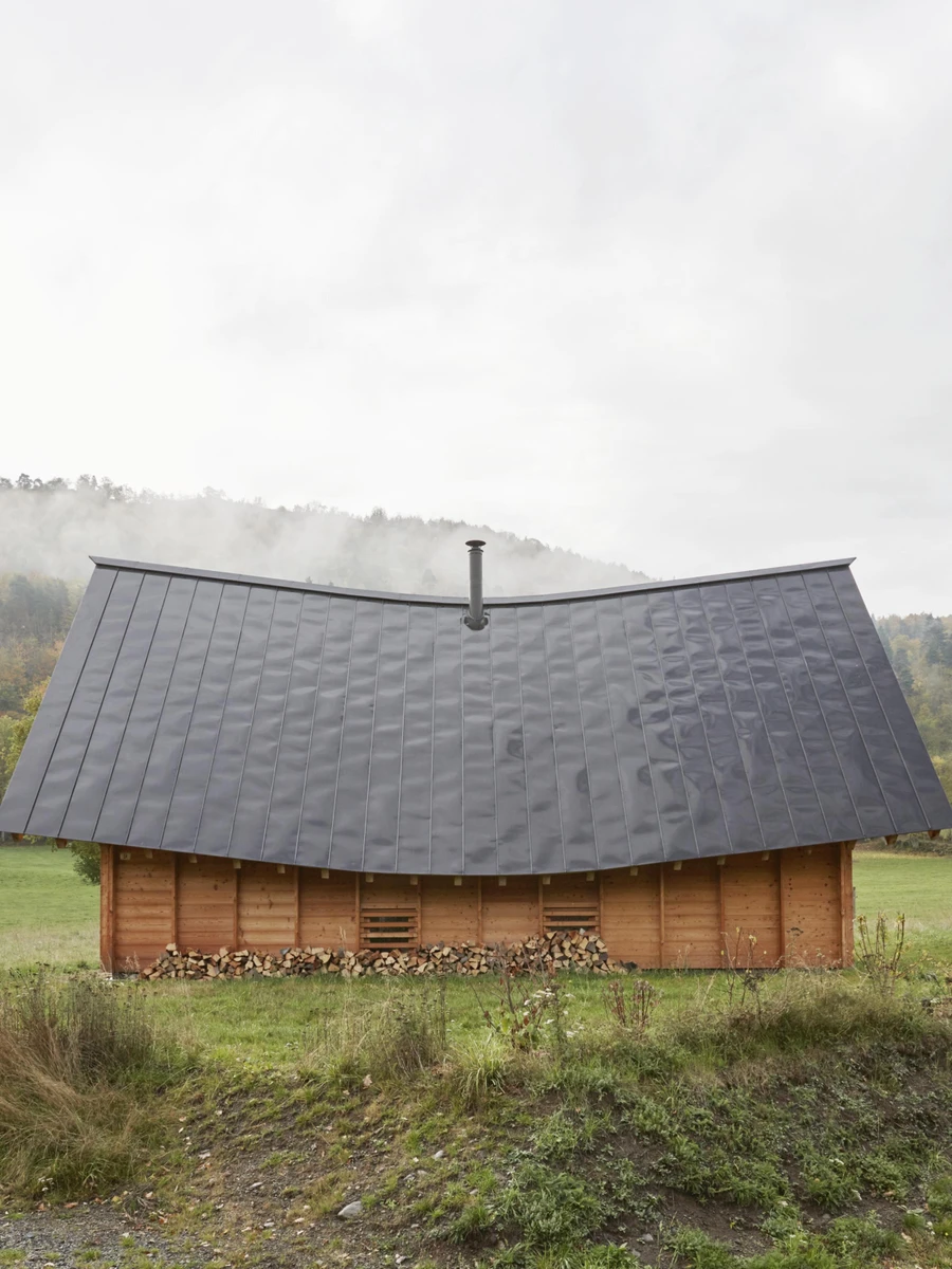 L'Onde house by arba architecture, Murat Cantal France, larch cladding zinc wave roof, rural architecture